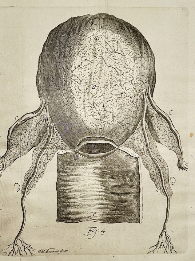 Hendrik van Deventer (1657–1724) – Anatomical Illustration of the Eye – Engraving (1 of 2)