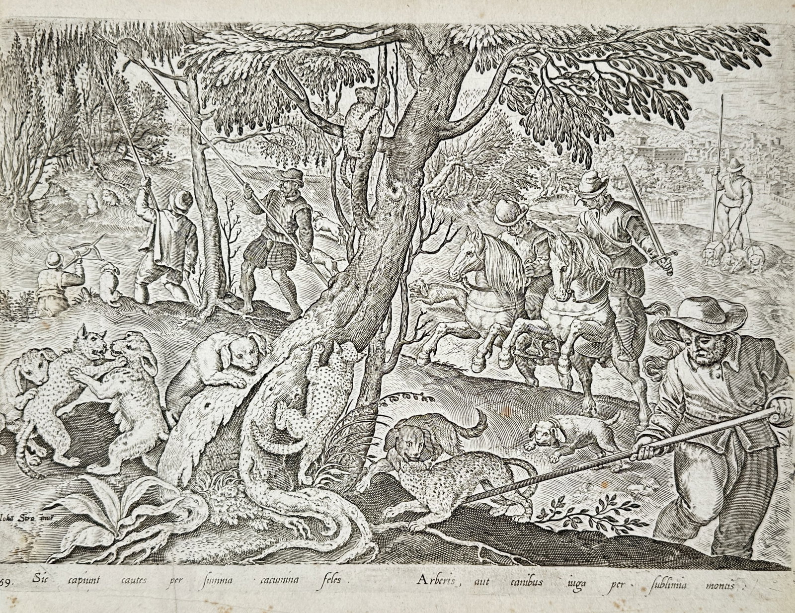 Johannes Stradanus (1523–1605) – Hunting Scene with Wild Cats – Engraving (16th Century): "Sic capiunt cautes per summa cacumina feles" depicts a hunting scene where wild cats are captured by hunters and dogs in a woodland setting. The print features the inscription of Johannes Stradanus a
