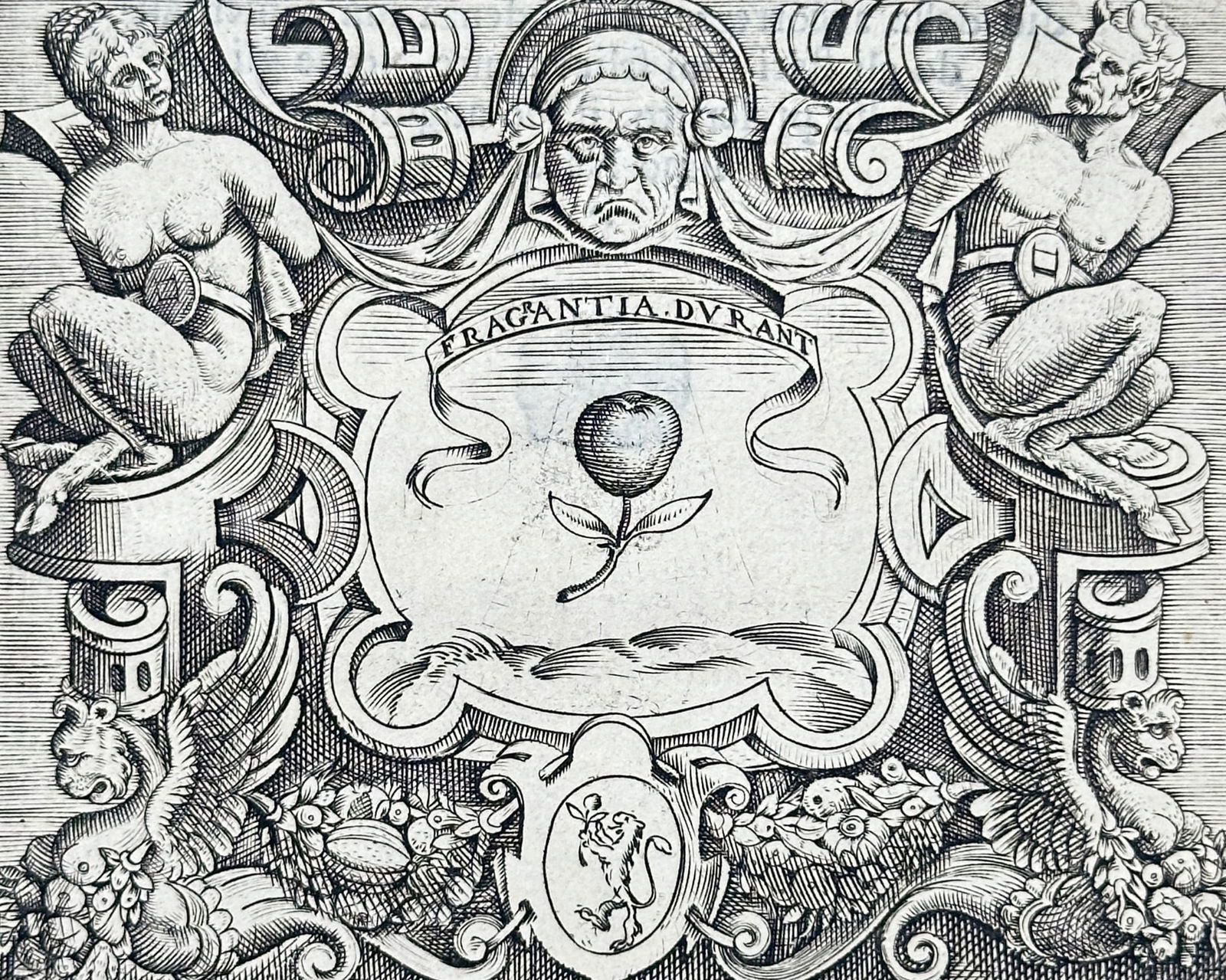 Girolamo Ruscelli – Francesco Sforza Emblem and Biography – Engraving (1566): Describes the coat of arms featuring a central plant emblem flanked by two figures, accompanied by a decorative paragraph detailing the biography and lineage of Francesco Sforza. This engraving origin