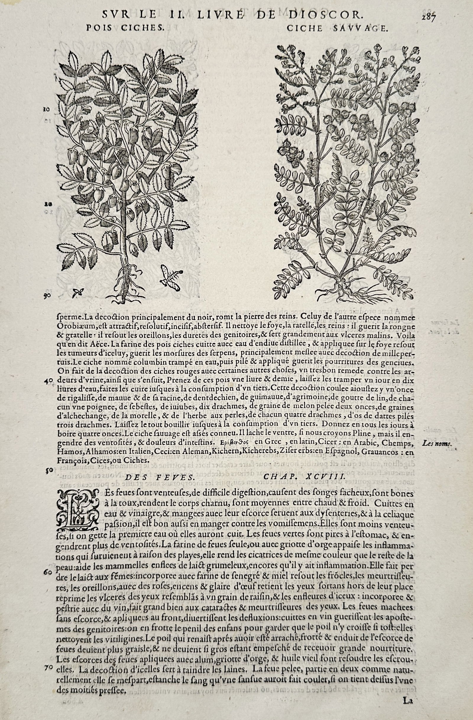 Pietro Andrea Mattioli (1501–1577) – Botanical Illustrations of Chickpeas and Fava Beans: "Pois Ciches and Des Feves" depicts woodcut illustrations of Cicer arietinum and Vicia faba with French text describing their agricultural and medicinal properties. This page comes from a sixteenth-ce
