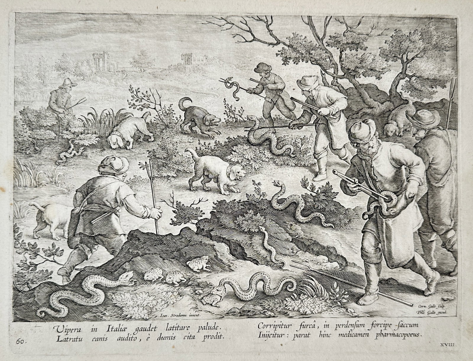 Johannes Stradanus (1523–1605) – Hunting Scene with Vipers – Engraving (16th Century): "Vipera in Italia gaudet latitare palude. Latratu canis audito, e dumis cita prodit. Corripitur furca, in pertensum forcipe faccum Injicitur: parat hinc medicamen pharmacopoeus." depicts a group of me