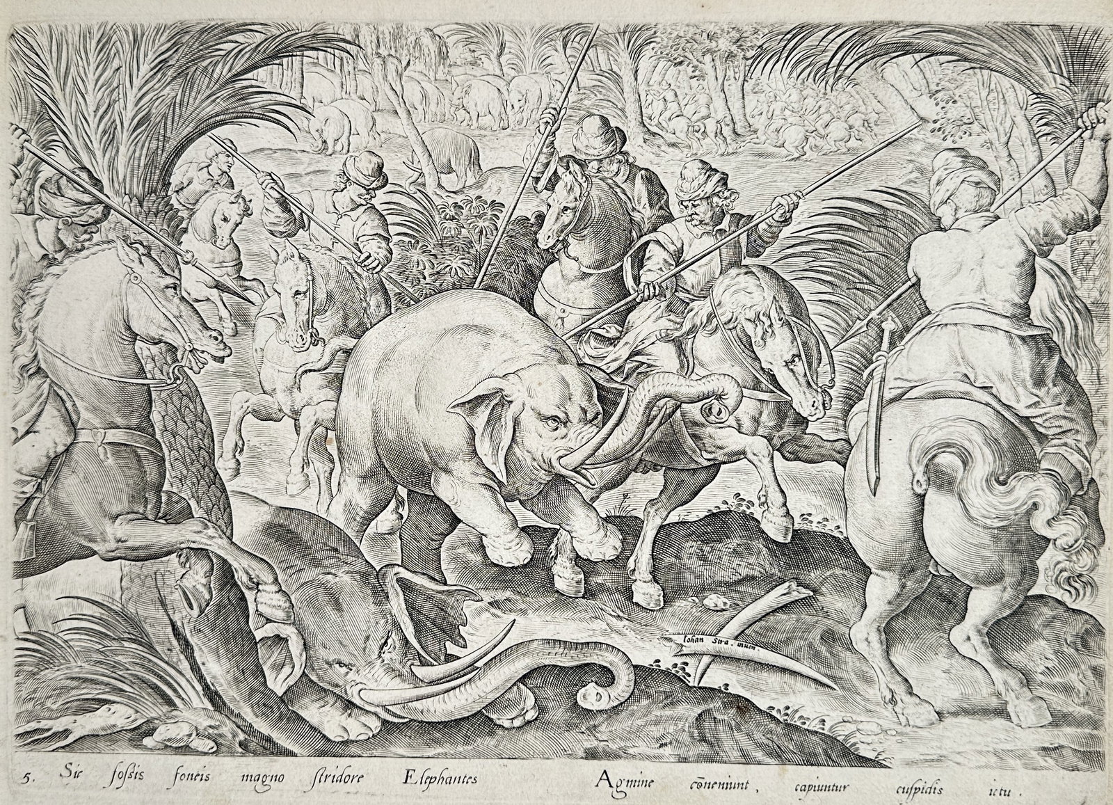 Johannes Stradanus (1523-1605) – Elephant Hunt in a Forest – Engraving (16th Century): Sic fossis fonis magno stridore Elephantes. Agmine conveniunt, capiuntur cuspidis ictu. The work depicts an intense scene of an elephant hunt in a dense, tropical-style forest. Hunters on horseback, e