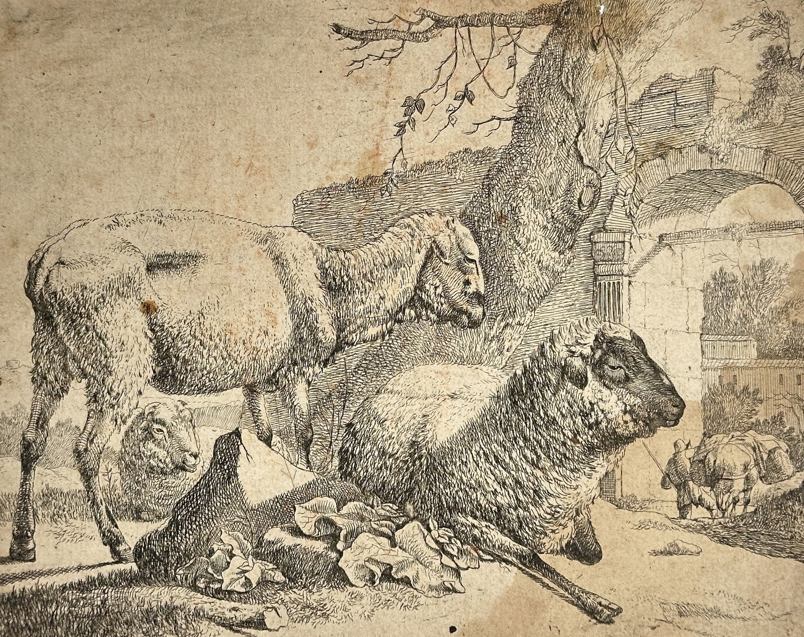 Johann Heinrich Roos (1631-1685) – Pastoral Scene with Sheep – Etching (17th Century) (1 of 3)