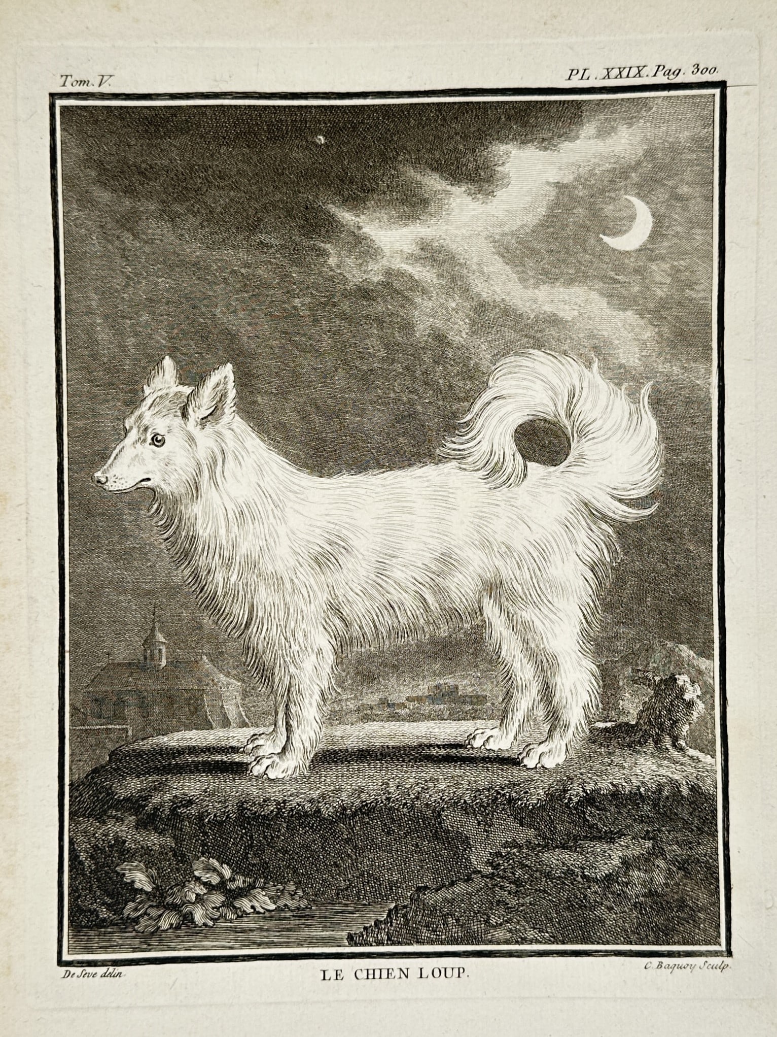 Jacques de Sève (Active 1742-1788) – Le Chien Loup – Engraving (1755): "Le Chien Loup" depicts a wolf-dog or spitz-type dog standing on a grassy mound under a crescent moon and a cloudy night sky. This engraving was published in Paris as part of the multi-volume Histoire