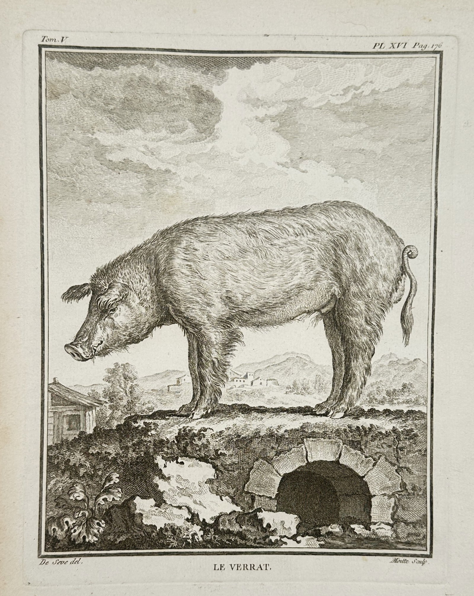 Jacques de Sève (Active 1742–1788) – View of a Boar – Engraving (1755): "Le Verrat" depicts a domestic boar standing atop a stone archway or bridge, set against a rolling landscape with distant buildings and mountains. This engraving was published in Paris as part of Hist