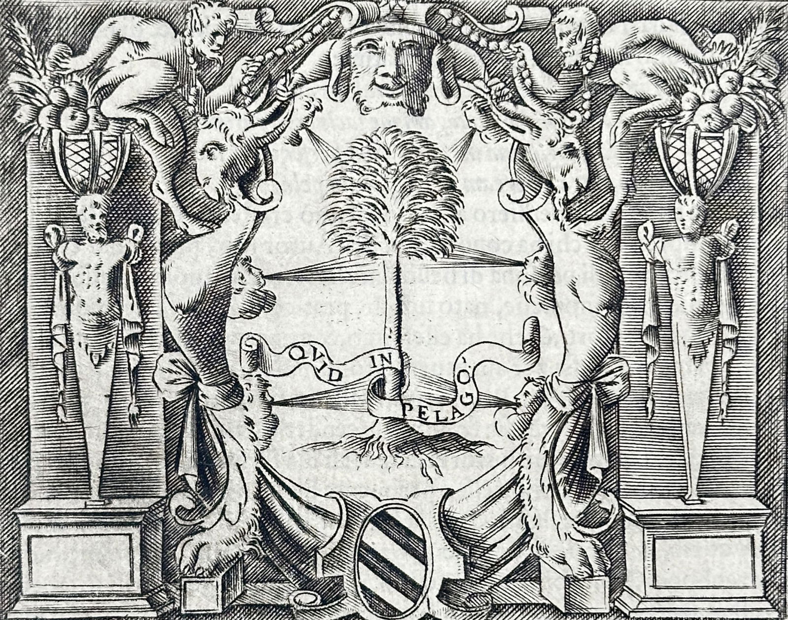 Girolamo Ruscelli (1500–1566) – Emblem of Monsignor Francesco Maccasciola – Engraving: "Monsignor Francesco Maccasciola". This work features a central allegorical emblem set within an elaborate Mannerist cartouche. The primary motif depicts a pine tree (l'arbor del pino) with a scroll e