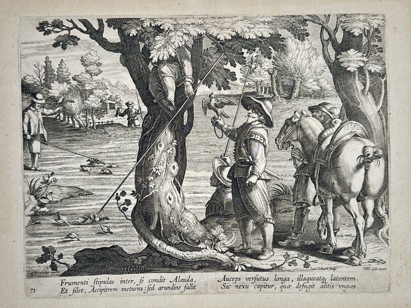 Johannes Stradanus (1523-1605) – Catching Larks with a Mirror and Net – Engraving (1578): "Frumenti stipulas inter, se condit Alauda" This engraving depicts a method of catching larks using a long pole and nets in an open field, featuring figures on horseback and on foot. It belongs to the