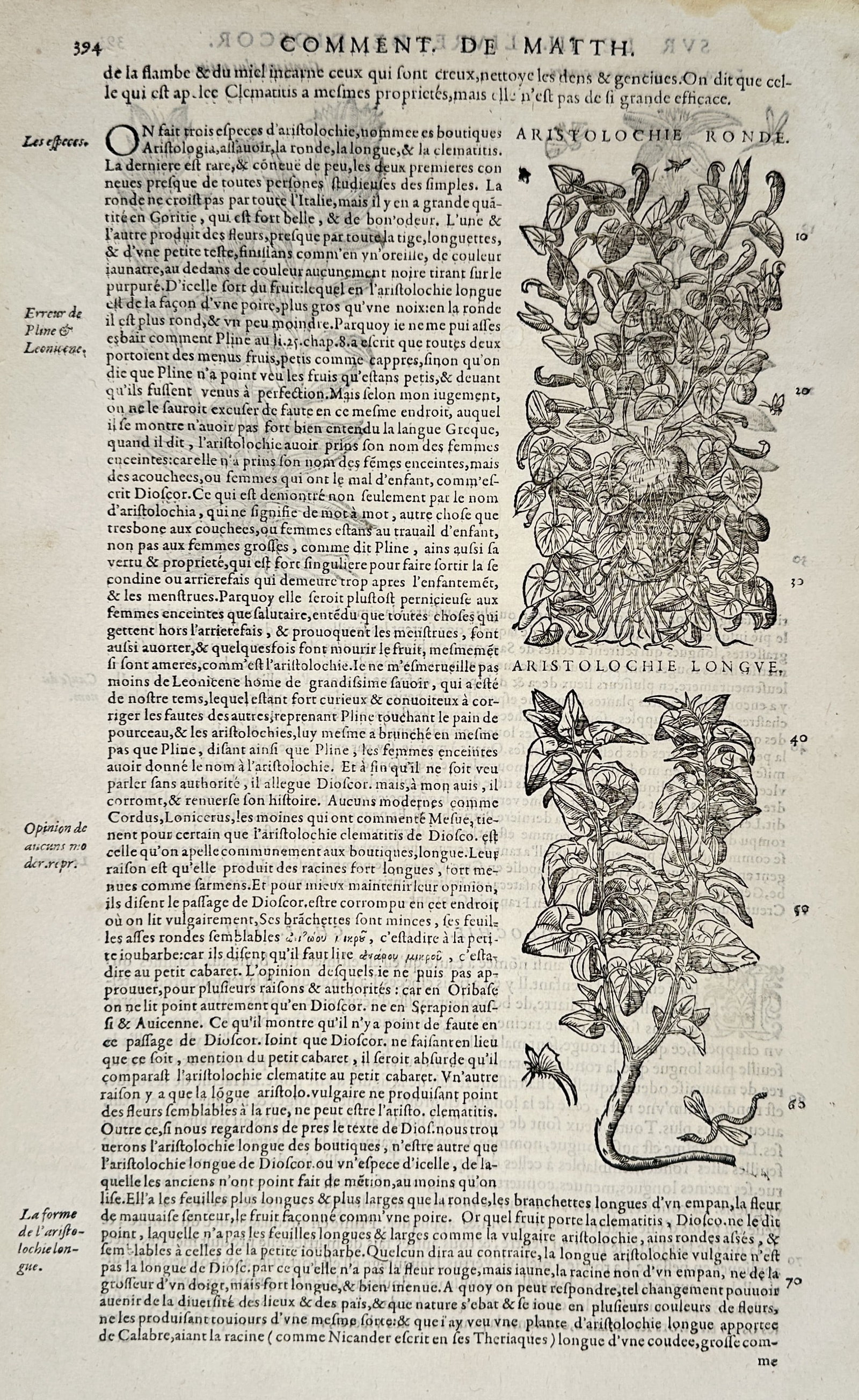 Pietro Andrea Mattioli (1501-1577) – Aristolochia Ronde and Aristolochia Longve – Woodcut (1572): "Aristolochie Ronde. Aristolochie Longve." This page features two woodcut illustrations of birthwort plants, accompanied by extensive French descriptive text discussing their medical properties and bo