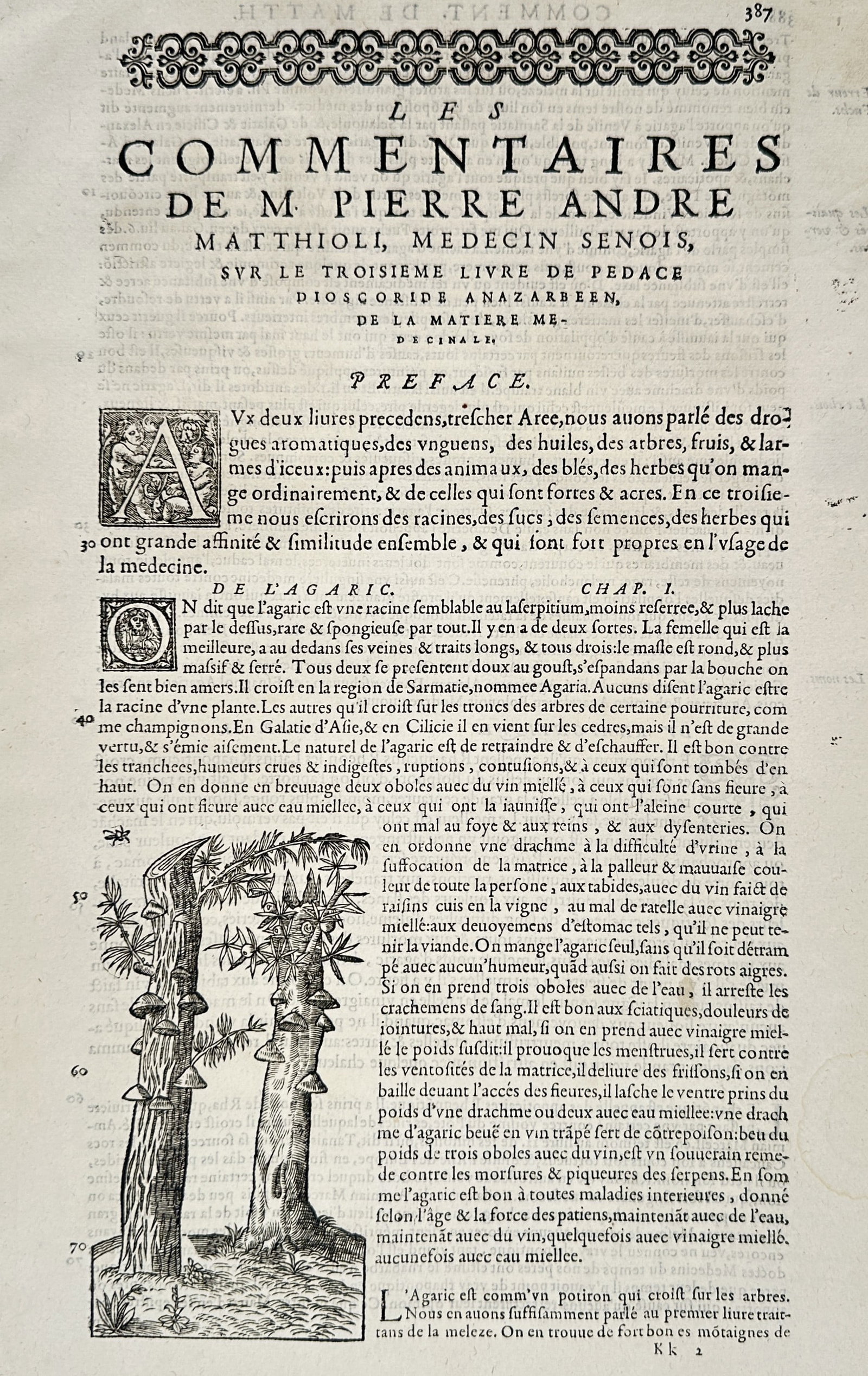 Pietro Andrea Mattioli (1501-1577) – De l'Agaric – Woodcut (1572): "De l'Agaric" This woodcut illustrates agaric mushrooms growing on the trunks of trees, accompanied by a decorative initial and comprehensive French text detailing the medicinal properties and applica