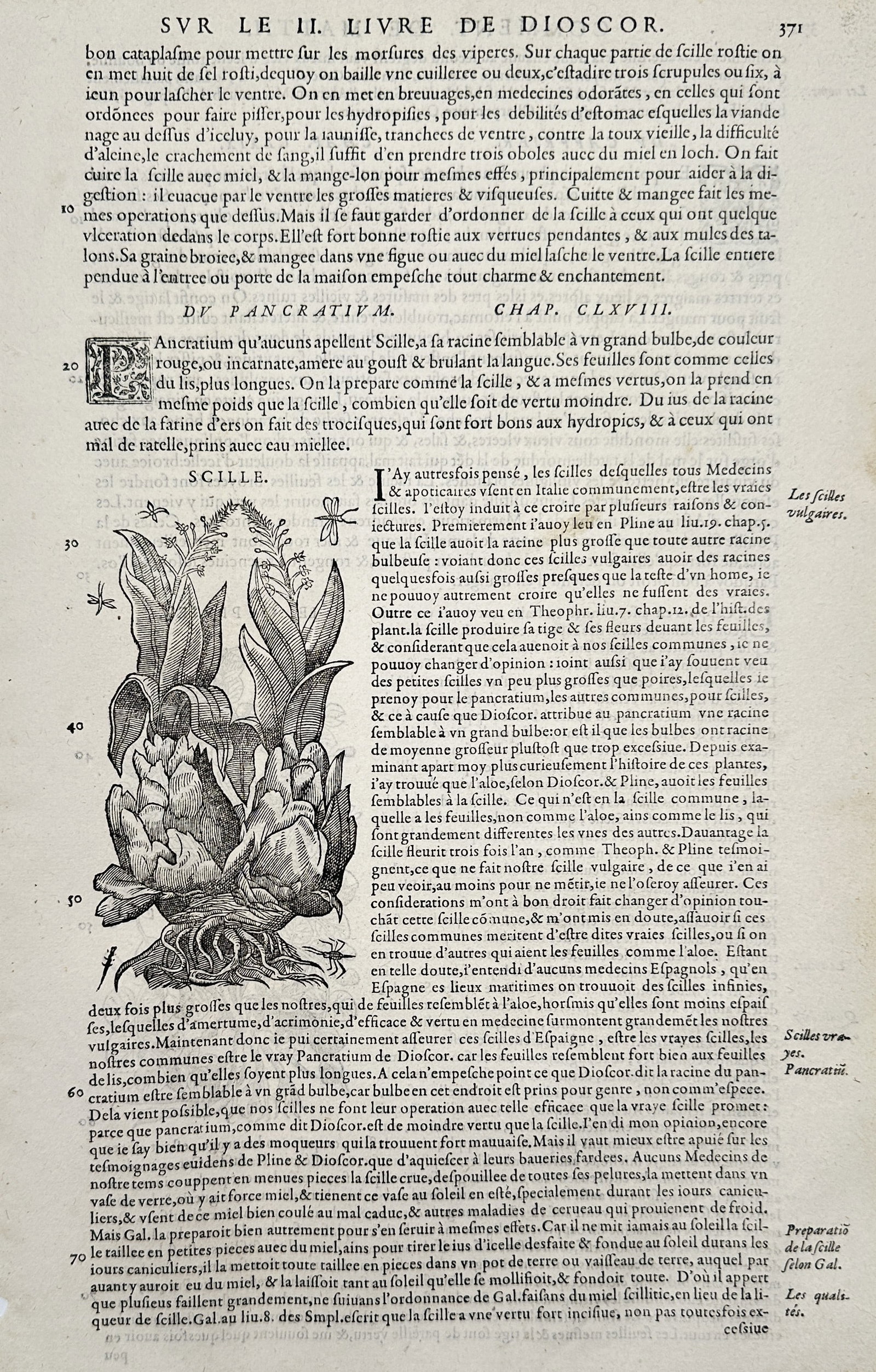Pietro Andrea Mattioli (1501-1577) – Scille and Pancrativm – Woodcut (1572): "Scille. Pancrativm." This woodcut depicts a sea squill plant with its large bulb and flowering stem alongside a pancratium lily, accompanied by several insects and extensive French text. The page is