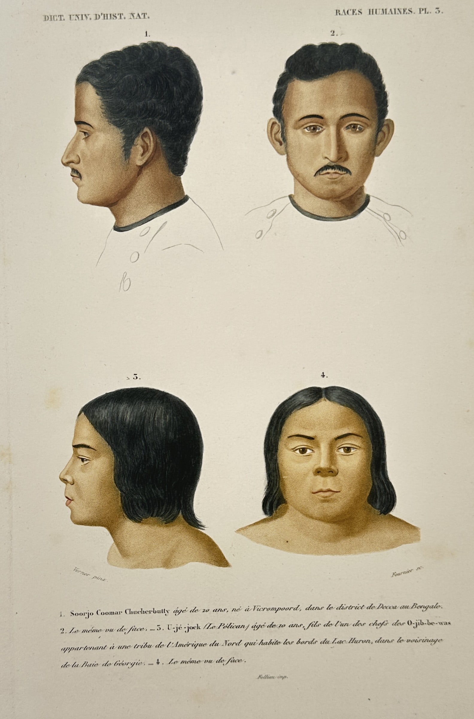 Charles d'Orbigny (1806-1876) – Portraits of Human Races – Hand-coloured engraving (1849): "Human Races" is a hand-coloured engraving that illustrates four portrait studies of individuals in profile and frontal views. This work originates from the Universal Dictionary of Natural History, wh