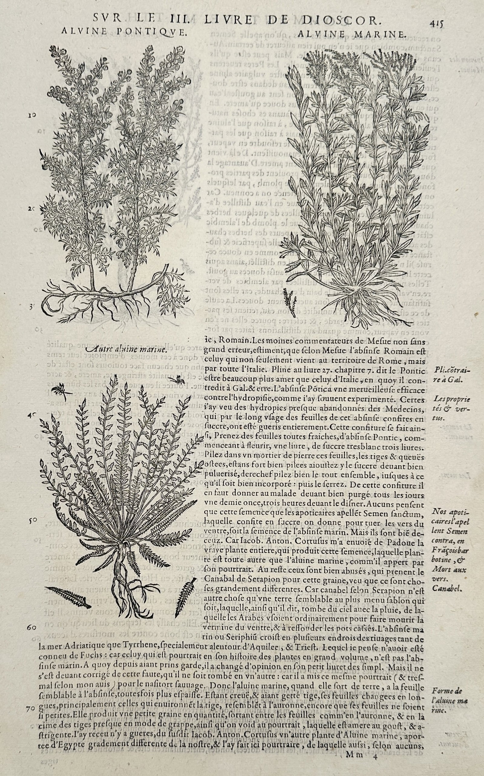 Pietro Andrea Mattioli (1501–1577) – View of Alvine Pontique and Alvine Marine – Woodcut (1 of 2)