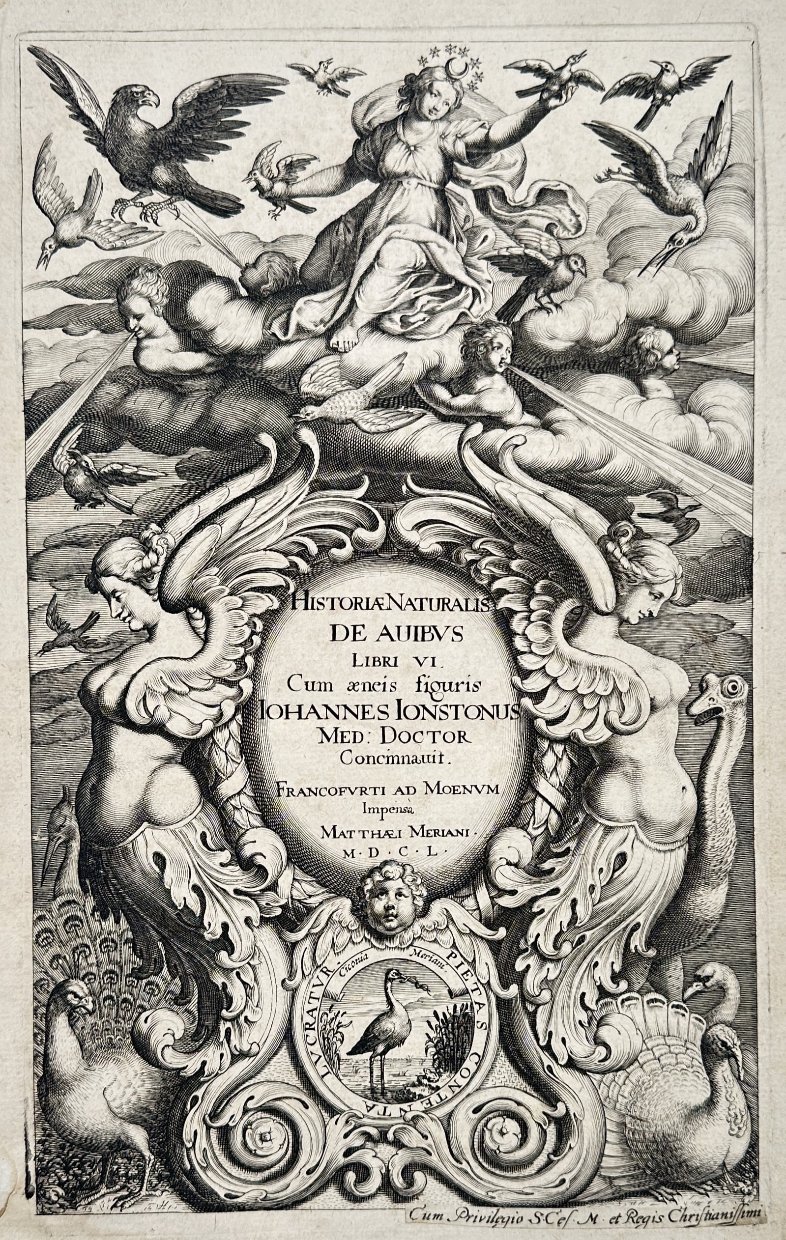 Matthäus Merian the Younger – Frontispiece to Historiae Naturalis de Avibus – Engraving (1650) (1 of 2)