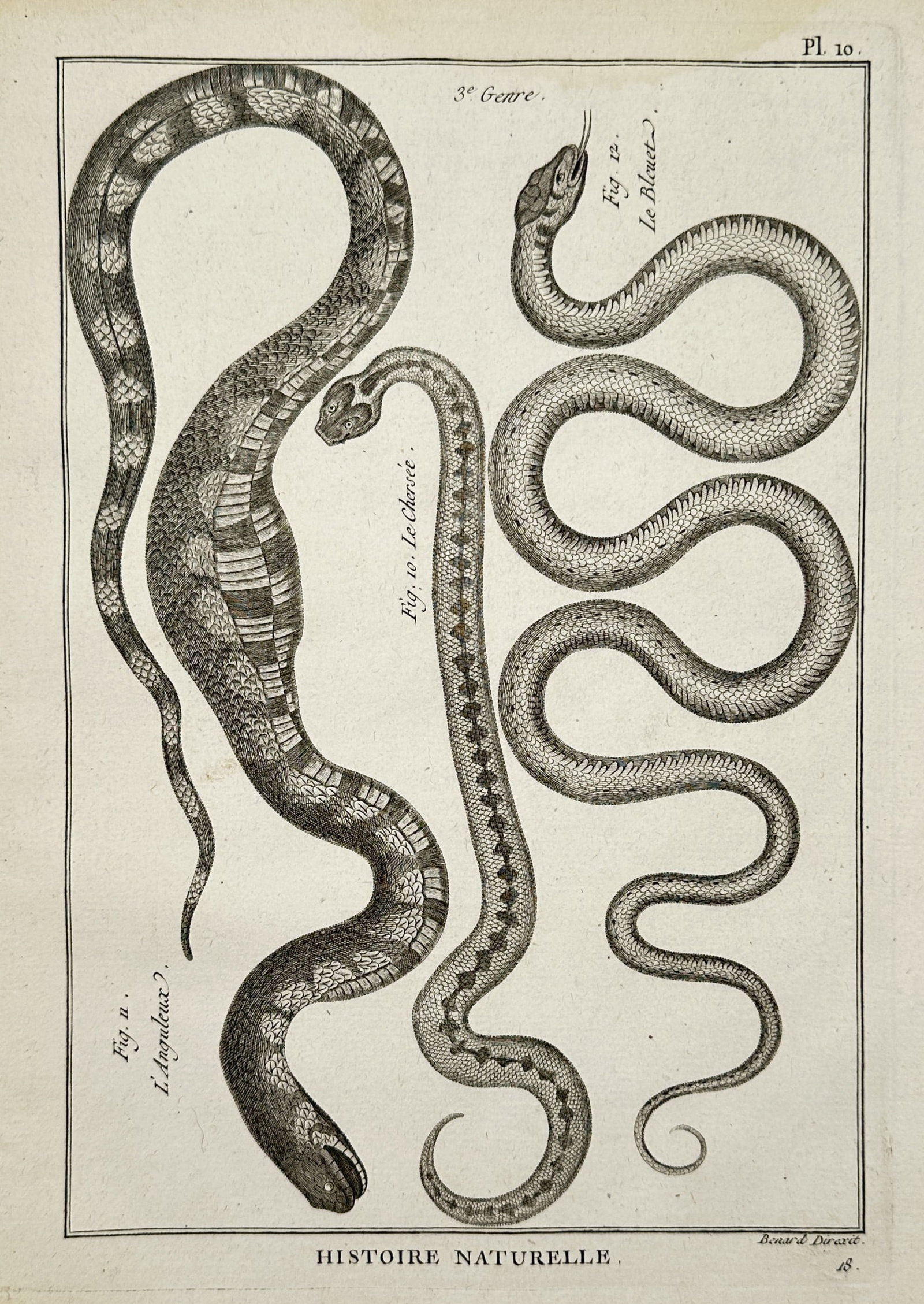 Robert Bénard (1734–1777) – View of Anguleux, Chessée, and Bleuet snakes – Engraving (1771) (1 of 2)