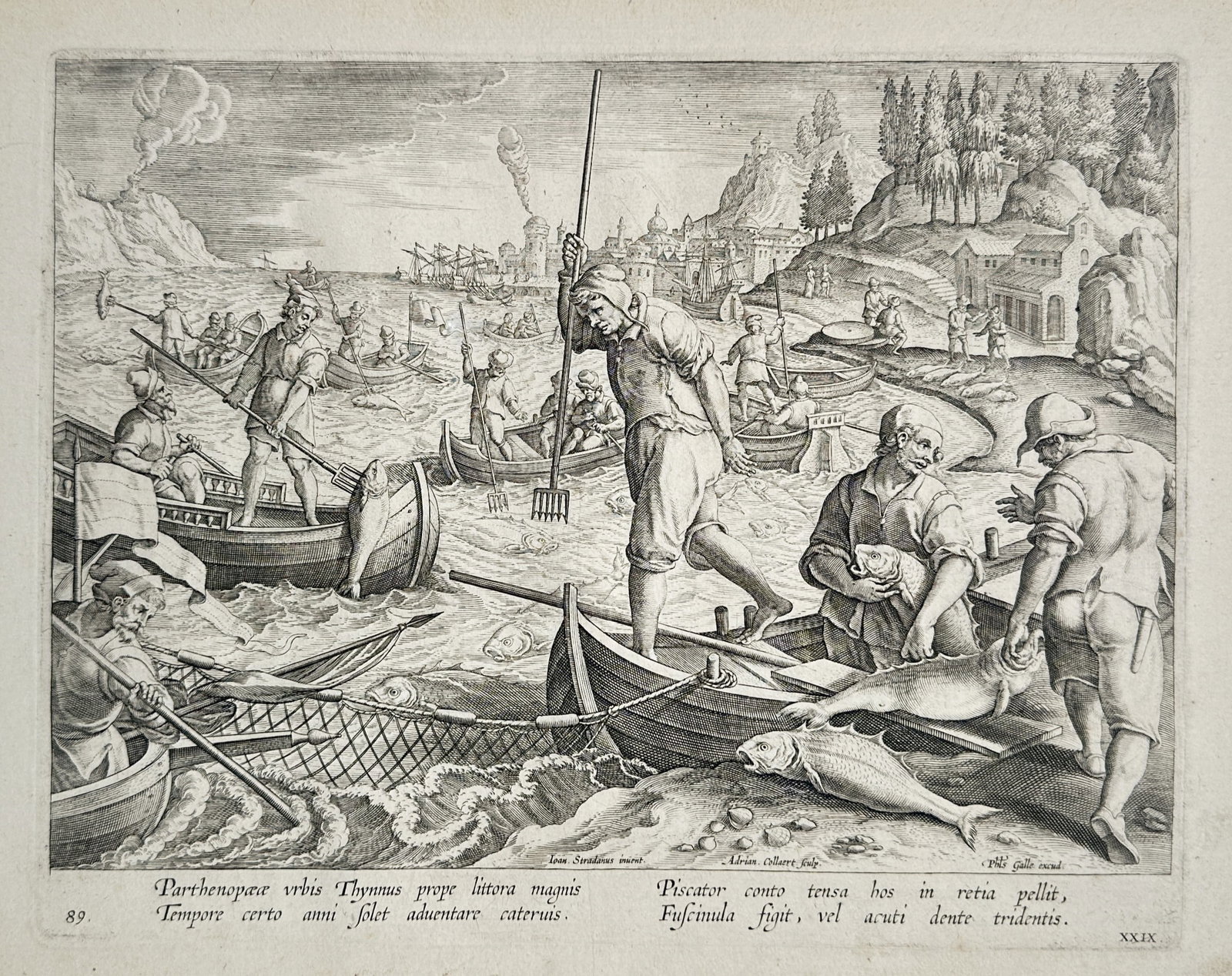 Johannes Stradanus (1523–1605) – View of Tuna Fishing near Naples – Engraving (c. 1578–1596): "Parthenopaeae vrbis Thynnus prope littora magnis Tempore certo anni solet aduentare cateruis" This engraving illustrates a dynamic tuna fishing scene along the coast of Naples, featuring fishermen in