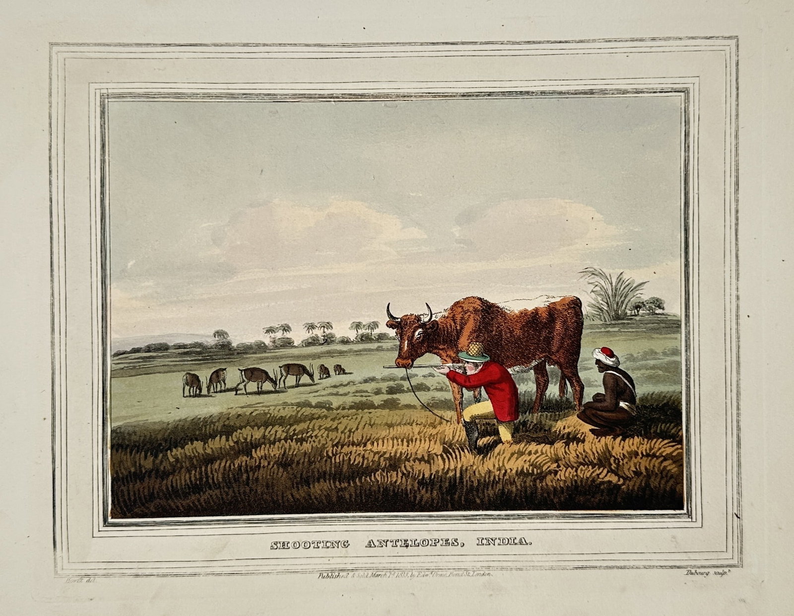 Edward Orme (1775–1848) – View of Shooting Antelopes, India – Hand-coloured etching (1807): "Shooting Antelopes, India" illustrates a specific hunting technique where a sportsman in a red jacket uses a bullock as a natural screen to stalk a herd of antelopes in an open field. An Indian atten