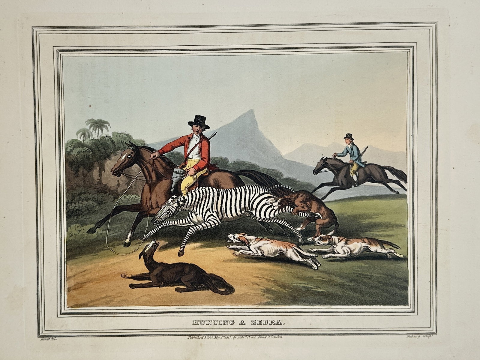 Edward Orme (1775-1848) – View of hunting a zebra – Hand-coloured etching (1813): "Hunting a Zebra" shows hunters on horseback accompanied by a pack of hounds pursuing a zebra across an open plain with mountains in the background. This hand-coloured etching is from the series Forei