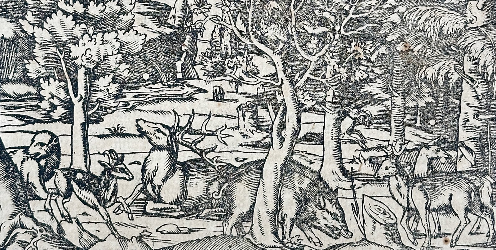 Sebastian Munster (1488-1552) – View of Wildlife in the Black Forest – Woodcut (1550) (1 of 3)