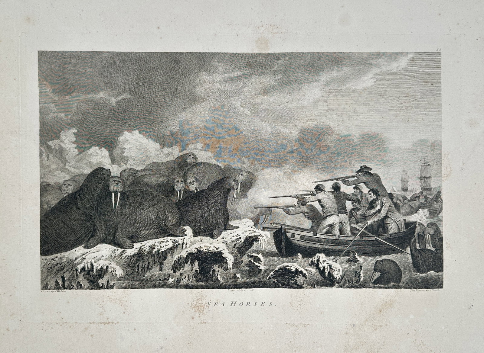 John Webber (1751–1793) – Sea Horses – Large Folio Engraving (1784): "Sea Horses" (an archaic term for walruses) depicts a dramatic encounter between Captain Cook’s crew and a herd of walruses on an ice floe in the Bering Strait. The scene shows sailors in a small bo