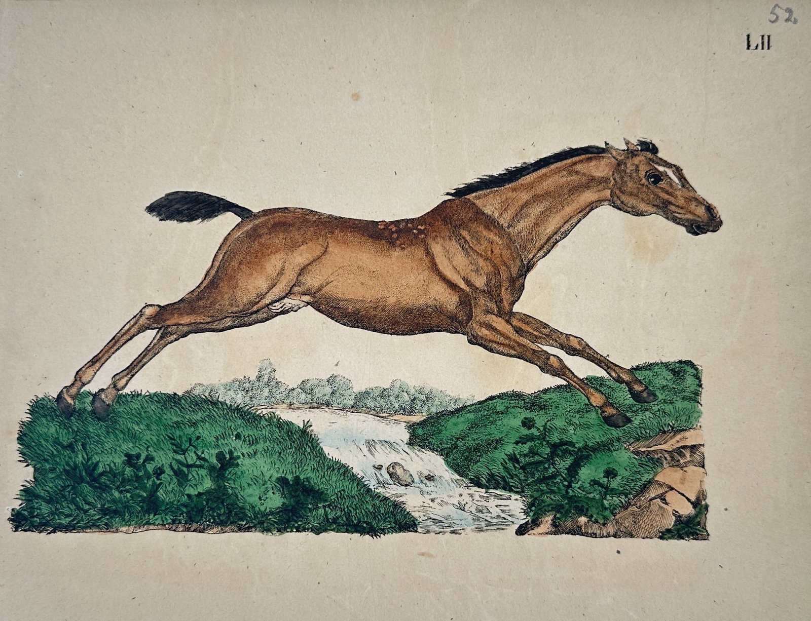 Friedrich Justin Bertuch – Study of a Horse Leaping a Stream – Hand-coloured copperplate: "LII" This hand-coloured copperplate engraving illustrates a spirited brown horse in mid-leap across a rocky stream and waterfall, set against a minimal landscape of grassy banks and distant trees fro