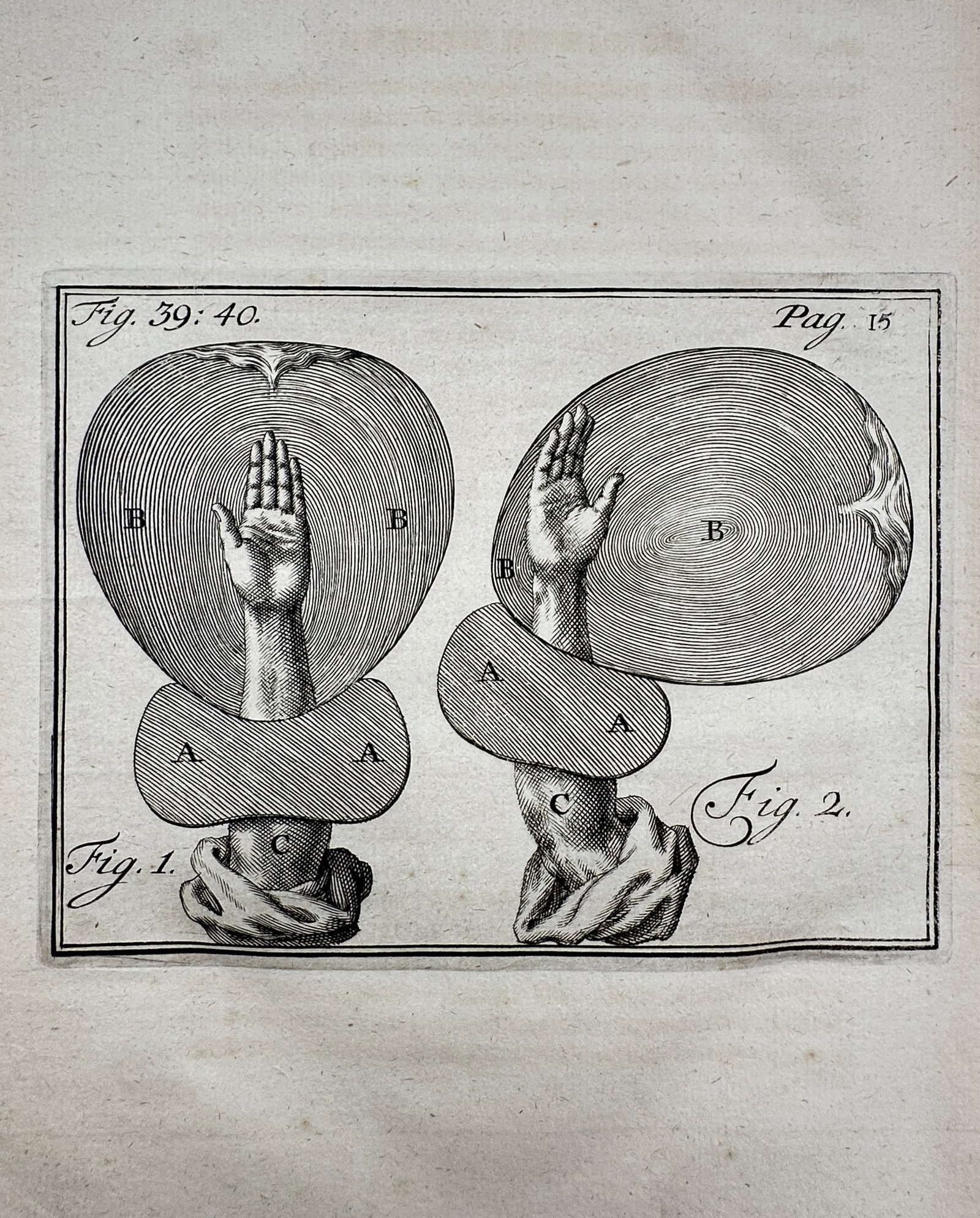 Philibert Bouttats (1654–1722) – Anatomical Study of Human Arms and Circular Diagrams (1 of 2)