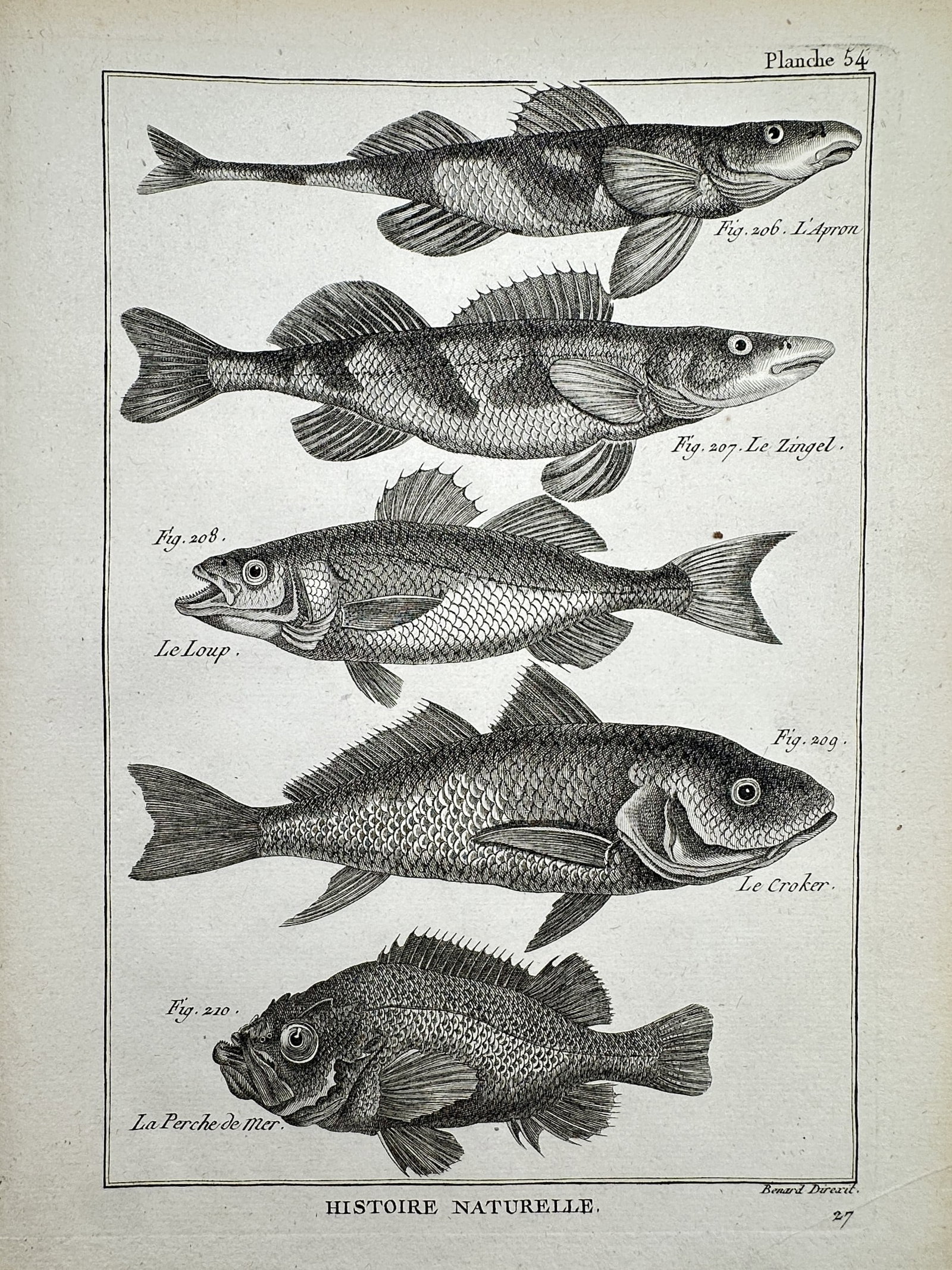 Robert Benard (1734–1777) – View of Various Fish Species – Engraving (1771) (1 of 2)