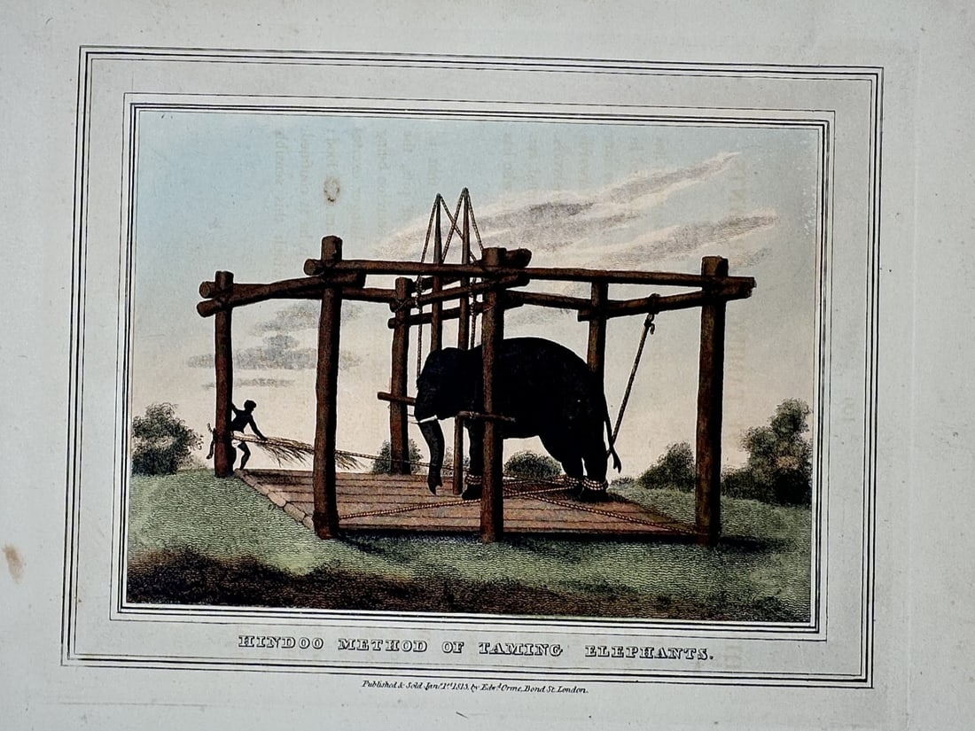 Samuel Howitt (1756-1822) – Hindoo Method of Taming Elephants – Hand-coloured aquatint (1813) (1 of 2)