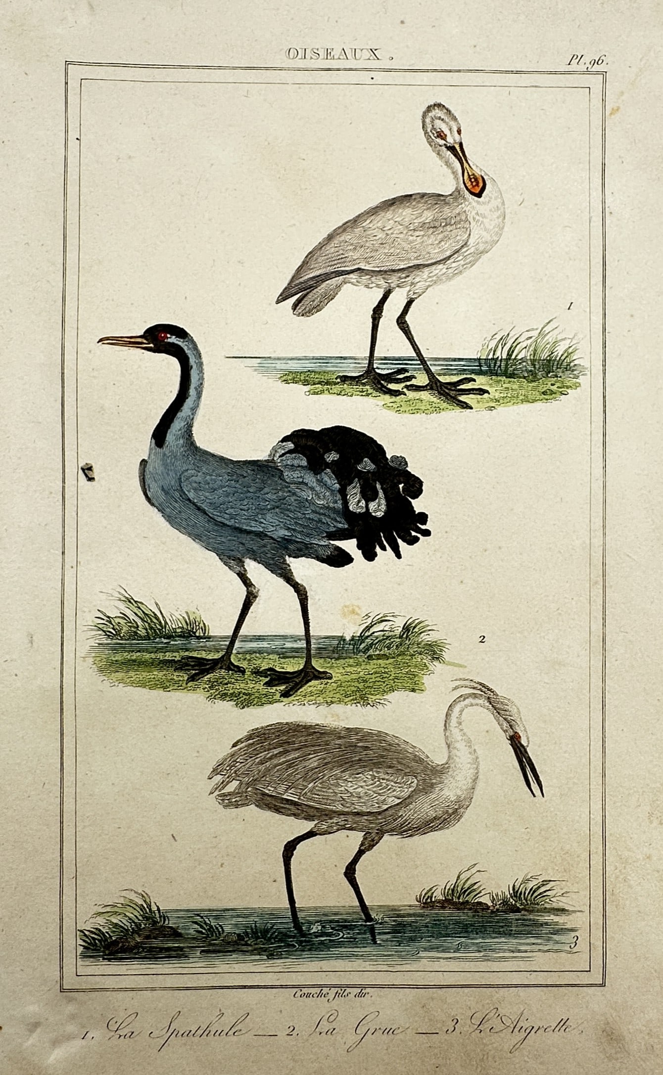 Georges-Louis Leclerc, Comte de Buffon – The Spoonbill, The Demoiselle Crane, and The Egret (1 of 2)