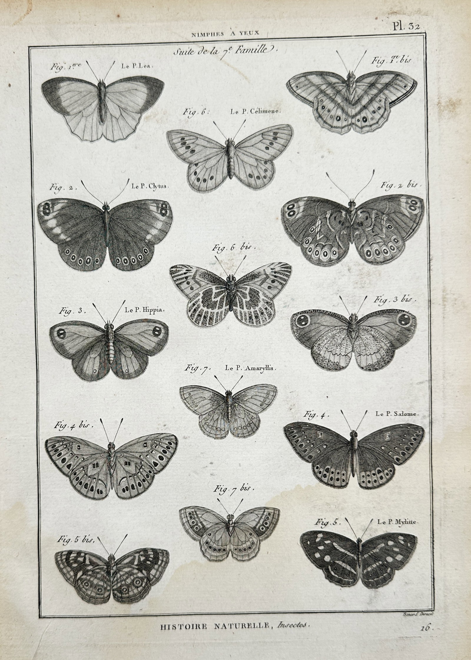 Robert Bénard (1734–1777) – Studies of Butterflies – Engraving (c. 1762–1772) (1 of 2)
