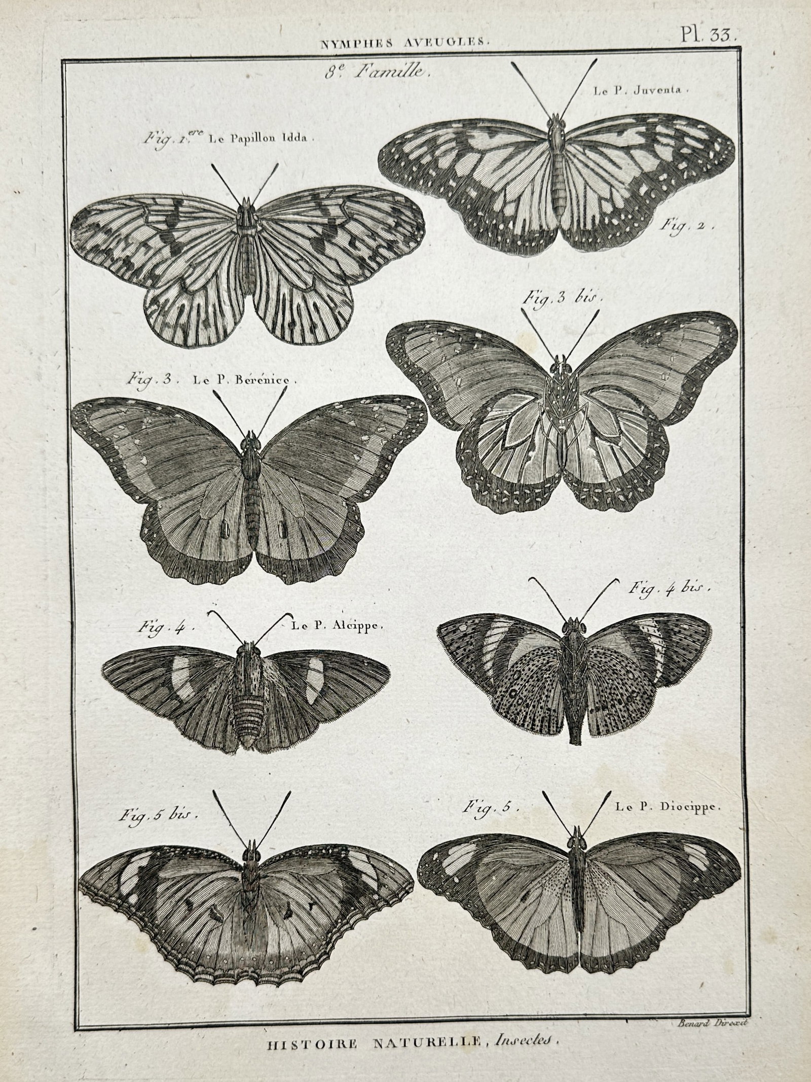 Robert Bénard (1734–1777) – Studies of Butterflies – Engraving (c. 1762–1772) (1 of 2)