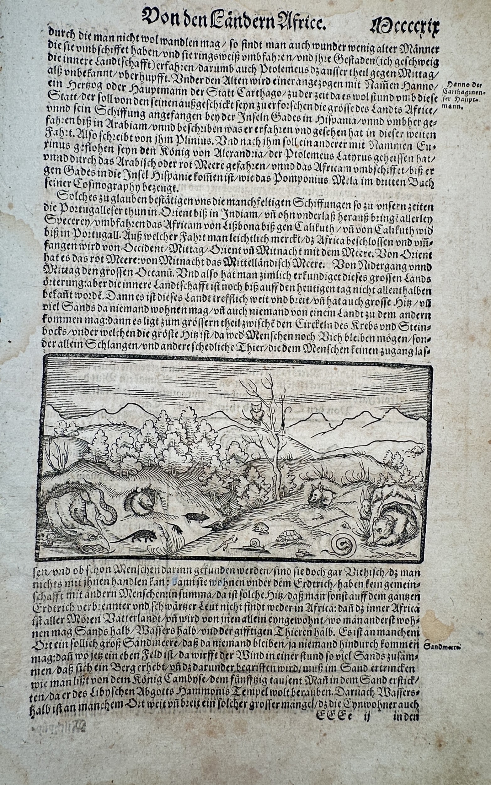 Sebastian Munster (1488–1552) – From the countries of Africa – Woodcut (1550) (1 of 2)