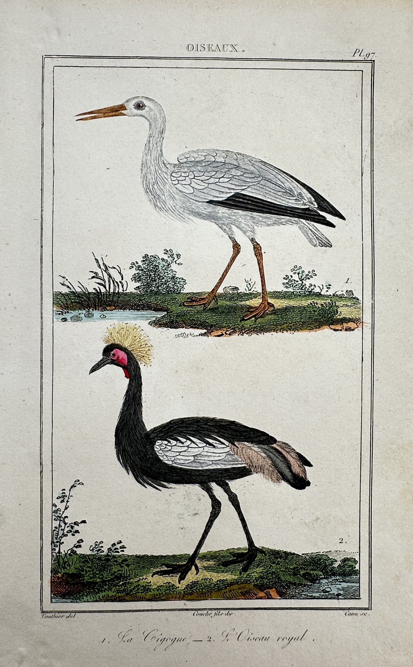 Georges-Louis Leclerc, Comte de Buffon – Studies of the White Stork and Black Crowned Crane (1 of 2)