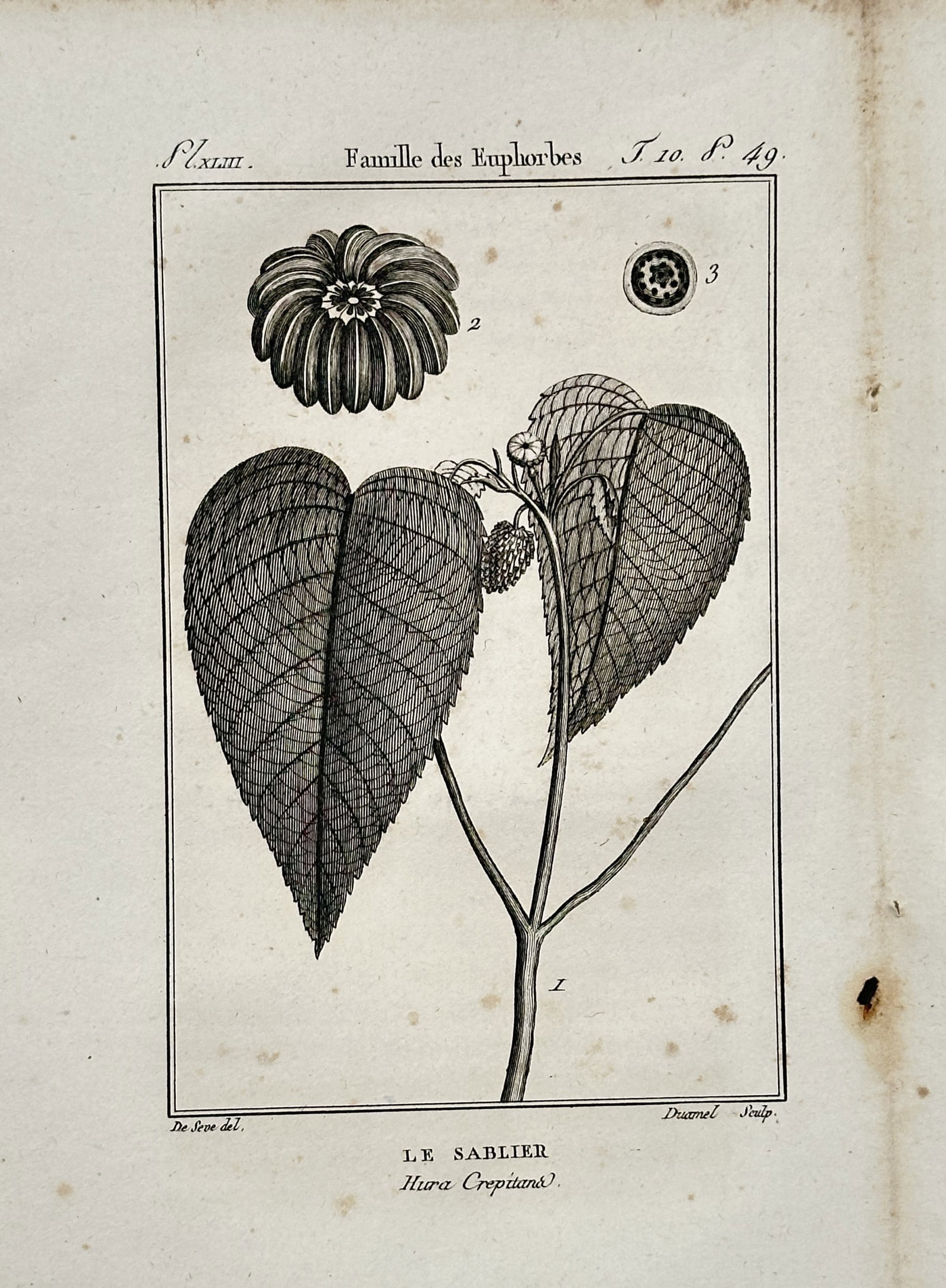 Georges-Louis Leclerc, Comte de Buffon (1707-1788) – Le Sablier – Engraving (c. 1770) (1 of 2)