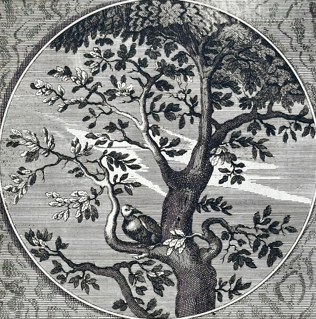 Jacob Cats (1577-1660) – View of an Allegory on Perseverance and the Woodpecker – Engraving: "Geen boom en wast op eenen dagh / Geen boom en valt ten eersten slagh" This engraving features a woodpecker laboring at the trunk of a large tree within a circular frame, serving as an emblem for the