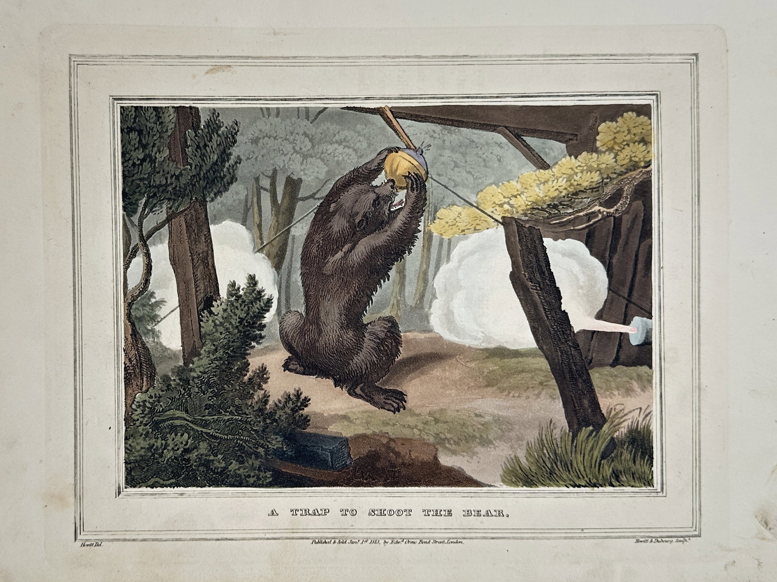 Samuel Howitt (1756-1822) – View of a Trap to Shoot the Bear – Hand-coloured aquatint (1813): "A Trap to Shoot the Bear." This hand-coloured aquatint illustrates a dramatic hunting scene where a large bear has triggered a mechanical trap in a wooded landscape. The bear is depicted standing upr