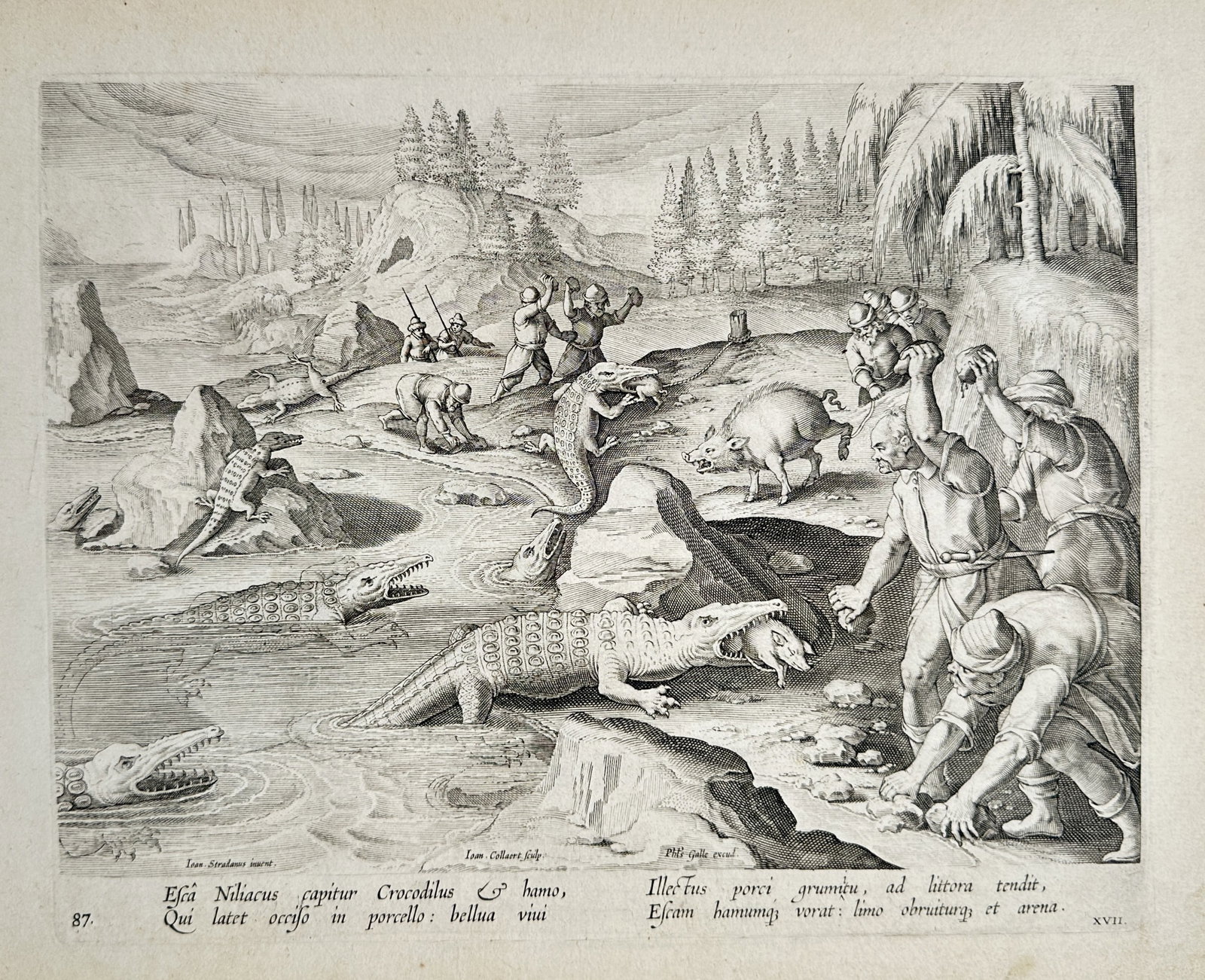 Johannes Stradanus (1523-1605) – Crocodile Hunt on the Nile – Engraving (1578): This print is from the celebrated series Venationes Ferarum, Avium, Piscium (Hunts of Wild Animals, Birds, and Fish), published in Antwerp by Philips Galle. The engraving illustrates a dramatic crocod