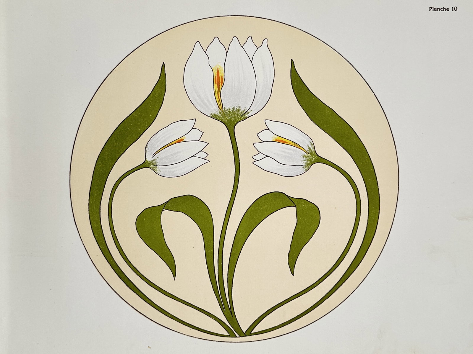 Therese de Dillmont (1846–1890), after – Art Nouveau Floral Pattern of Crocuses – Offset print: "Crocus Pattern" features a stylized Art Nouveau composition of three white flowers arranged symmetrically within a circular border. The work displays elegant, sinuous green leaves and stems against a