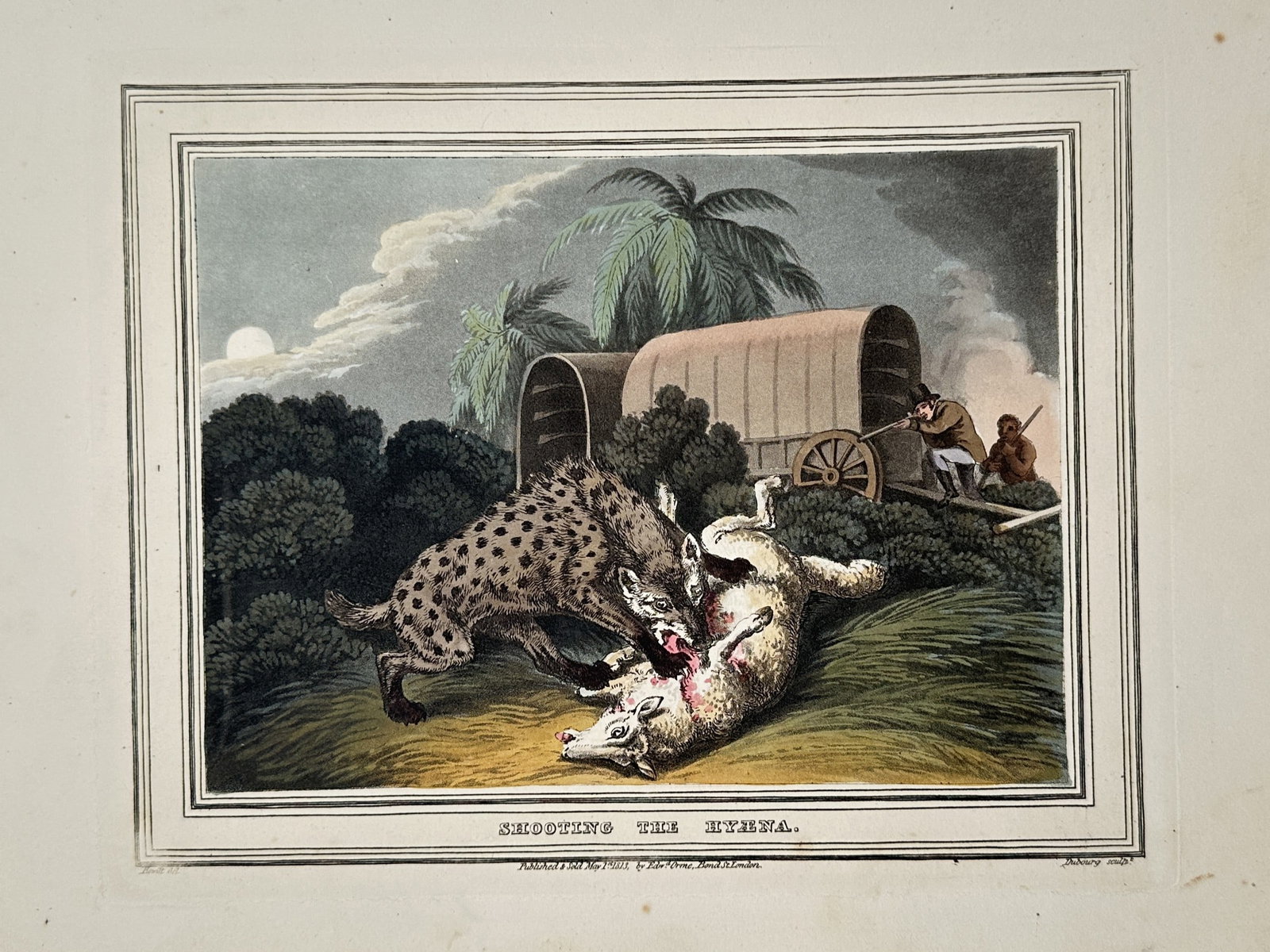 Samuel Howitt (1756-1822) – View of Shooting the Hyena – Hand-coloured aquatint (1813): "Shooting the Hyena" portrays a spotted hyena standing over a carcass in a moonlit landscape, while a hunter aims a rifle from the cover of a covered wagon in the background. This hand-coloured aquati