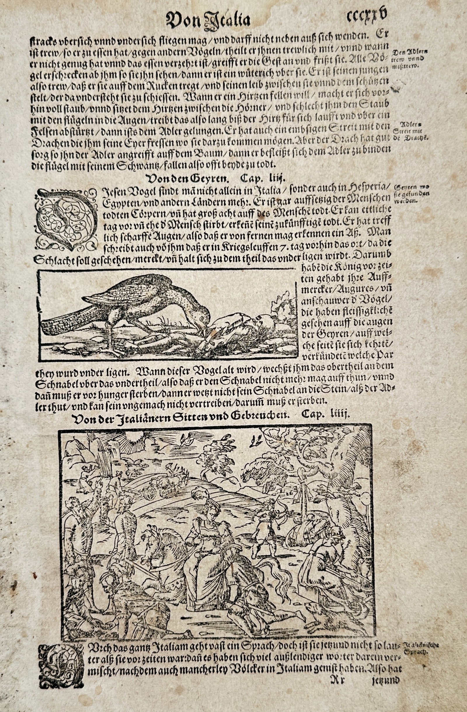 Sebastian Munster (1488-1552) – View of a Vulture and Italian Customs – Woodcut (1550): "Von Italia" illustrates two distinct scenes within a page of German gothic text. The upper woodcut depicts a vulture leaning over a rocky landscape, while the lower, larger woodcut shows a group of f
