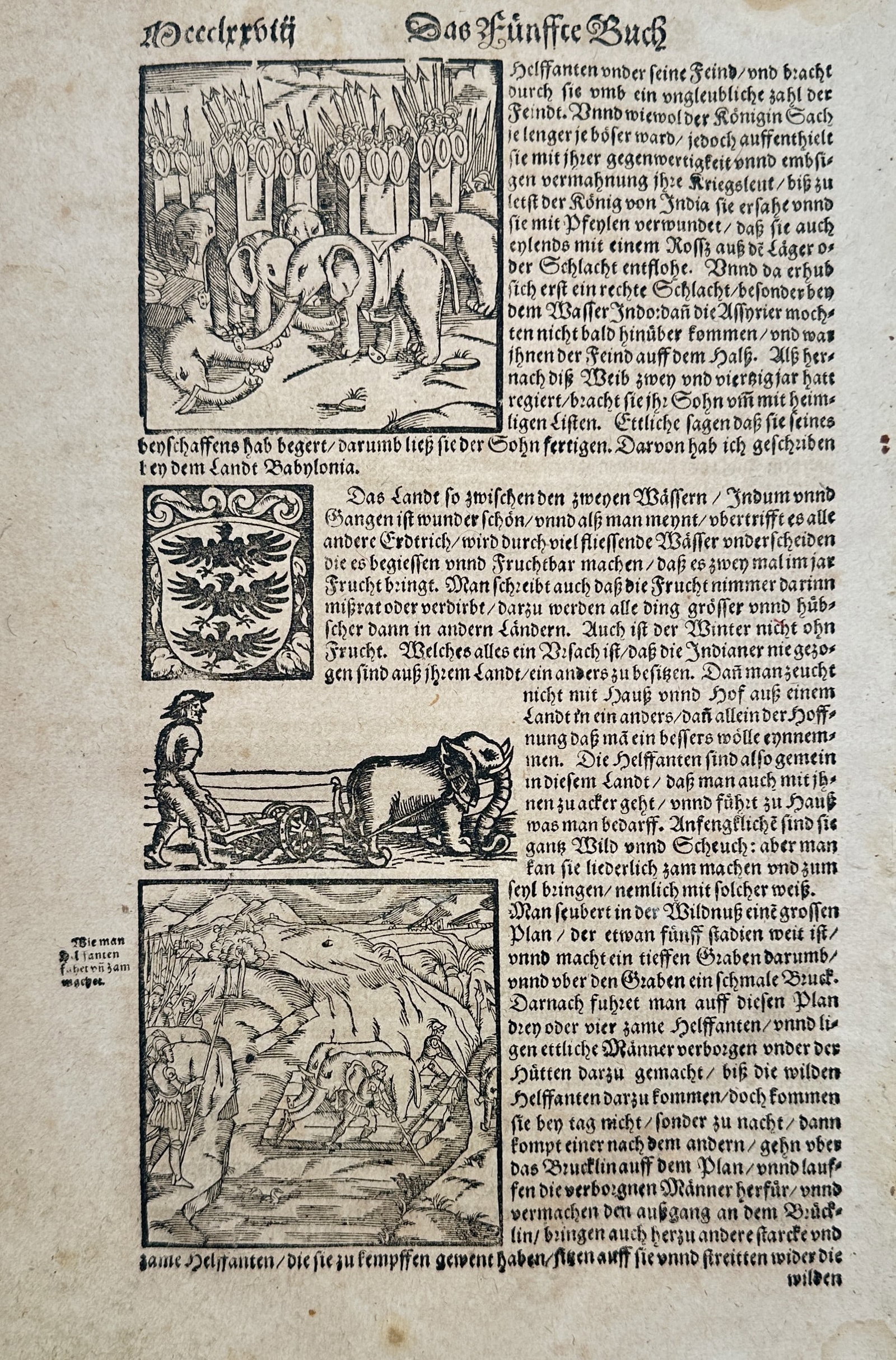 Sebastian Munster (1488-1552) – View of Elephants in War and Agriculture – Woodcut (1550): Das Funffte Buch illustrates the various roles of elephants in the East featuring three distinct woodcuts integrated within German black letter text. The upper woodcut depicts war elephants equipped w