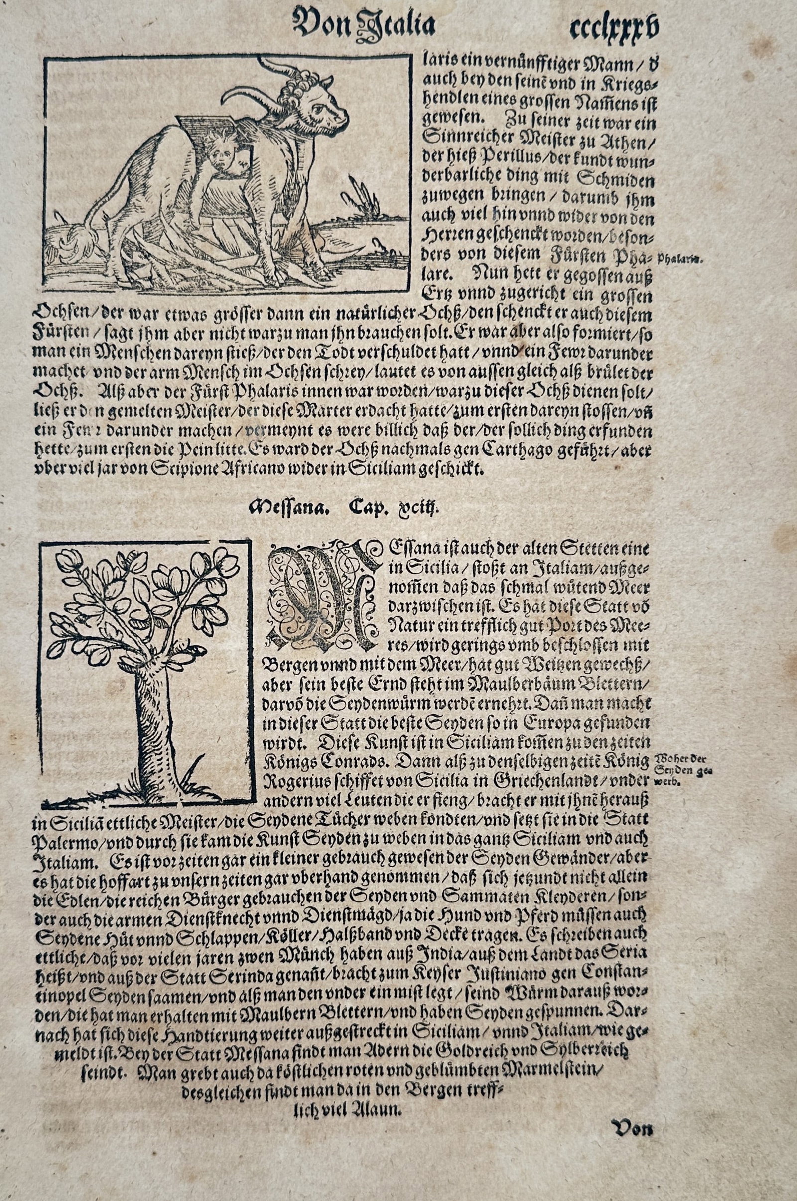 Sebastian Munster (1488-1552) – View of the Brazen Bull and Mulberry Tree – Woodcut (1550): Von Italia illustrates the macabre legend of the Brazen Bull of Phalaris and the cultivation of silk through a mulberry tree. The upper woodcut depicts a person trapped inside a hollow metal bull bein