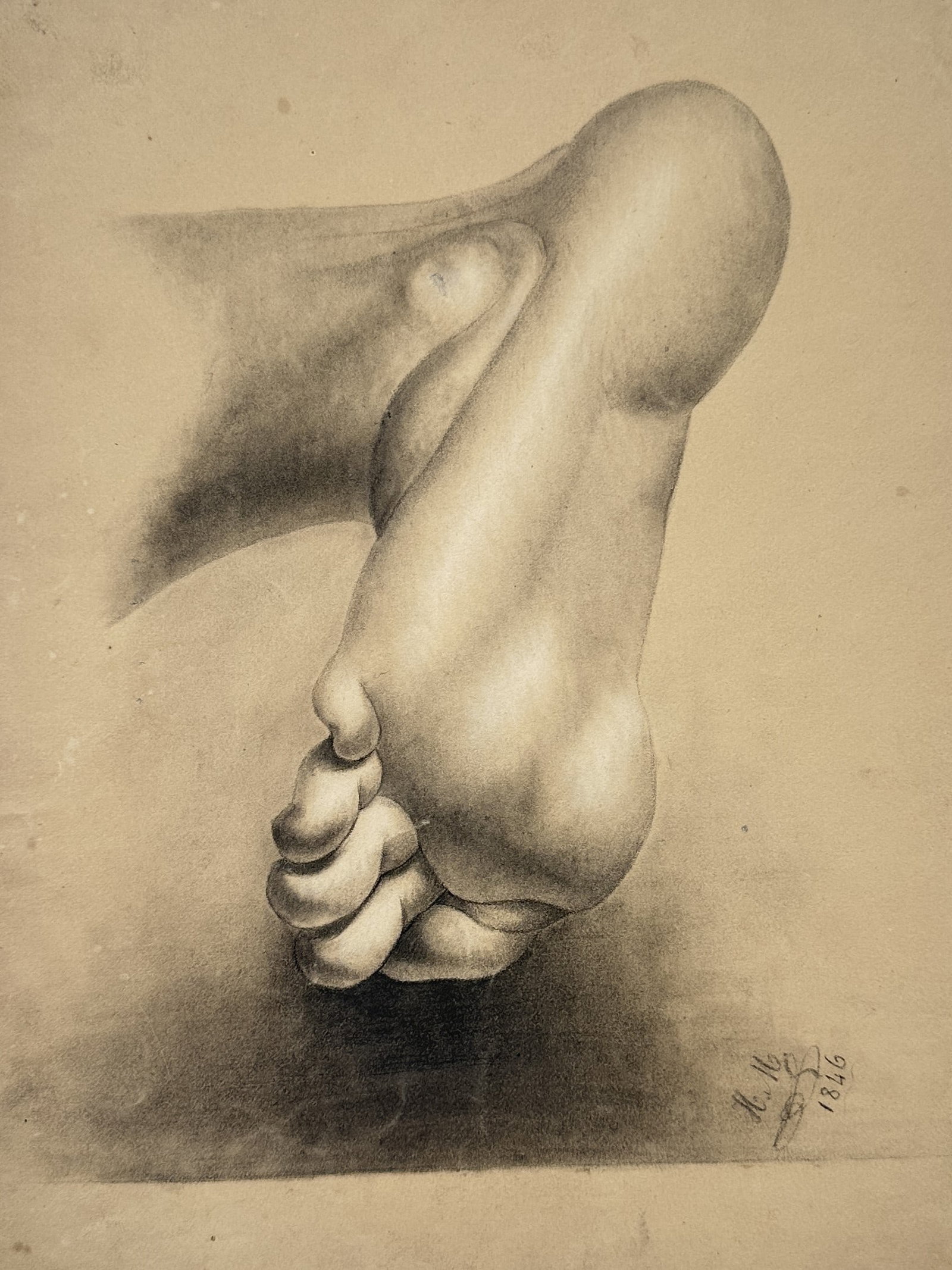 Heinrich Heinlein (1803–1885) – Anatomical Study of a Human Foot – Pencil and charcoal drawing: This anatomical study illustrates the muscular and skeletal structure of a human foot from an underside perspective, capturing the tension and volume of the heel, arch, and toes. The work demonstrates