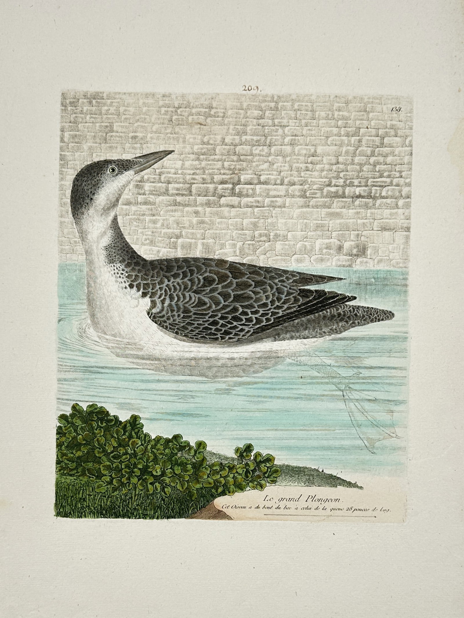 François-Nicolas Martinet (1731–1800) – Le Grand Plongeon – Hand-coloured etching (1770) (1 of 2)