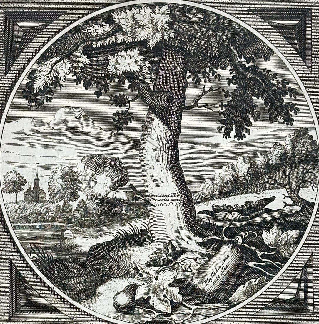 Jacob Cats (1577–1660) – Emblem of Love Growing with Time – Engraving (1658) (1 of 3)