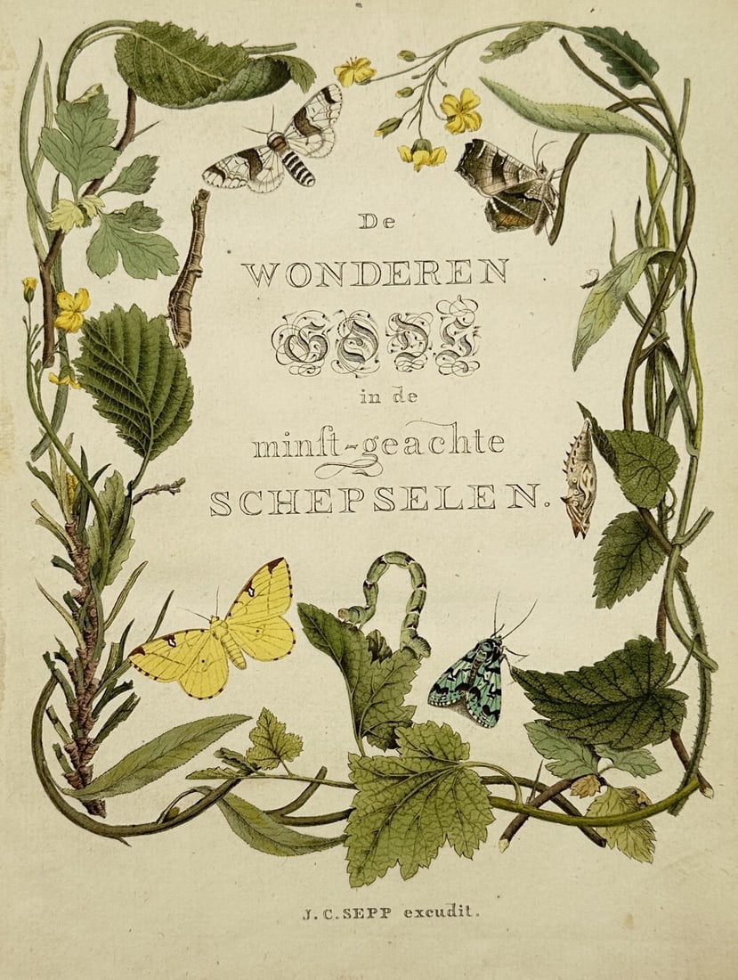 Jan Christiaan Sepp (1739–1811) – Title Page for Wonders of God – Hand-coloured engraving (1 of 2)
