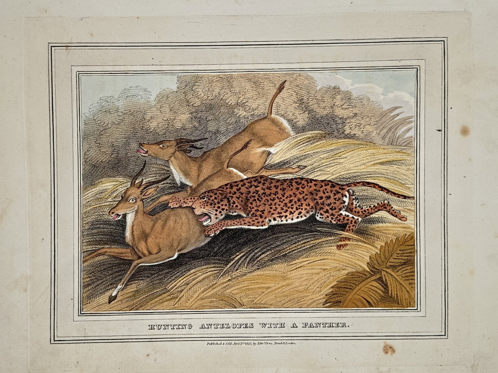Samuel Howitt (1756–1822) – Hunting Antelopes with a Panther – Sporting Scene (1 of 2)