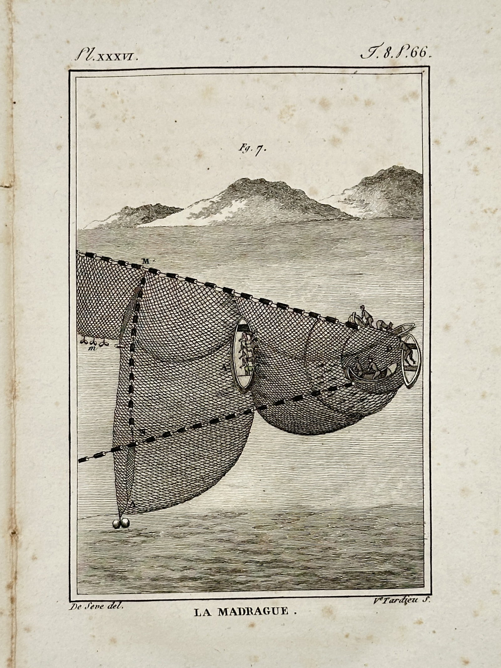 Georges-Louis Leclerc, Comte de Buffon (1707–1788) – The Madrague – Copper engraving (1799) (1 of 2)