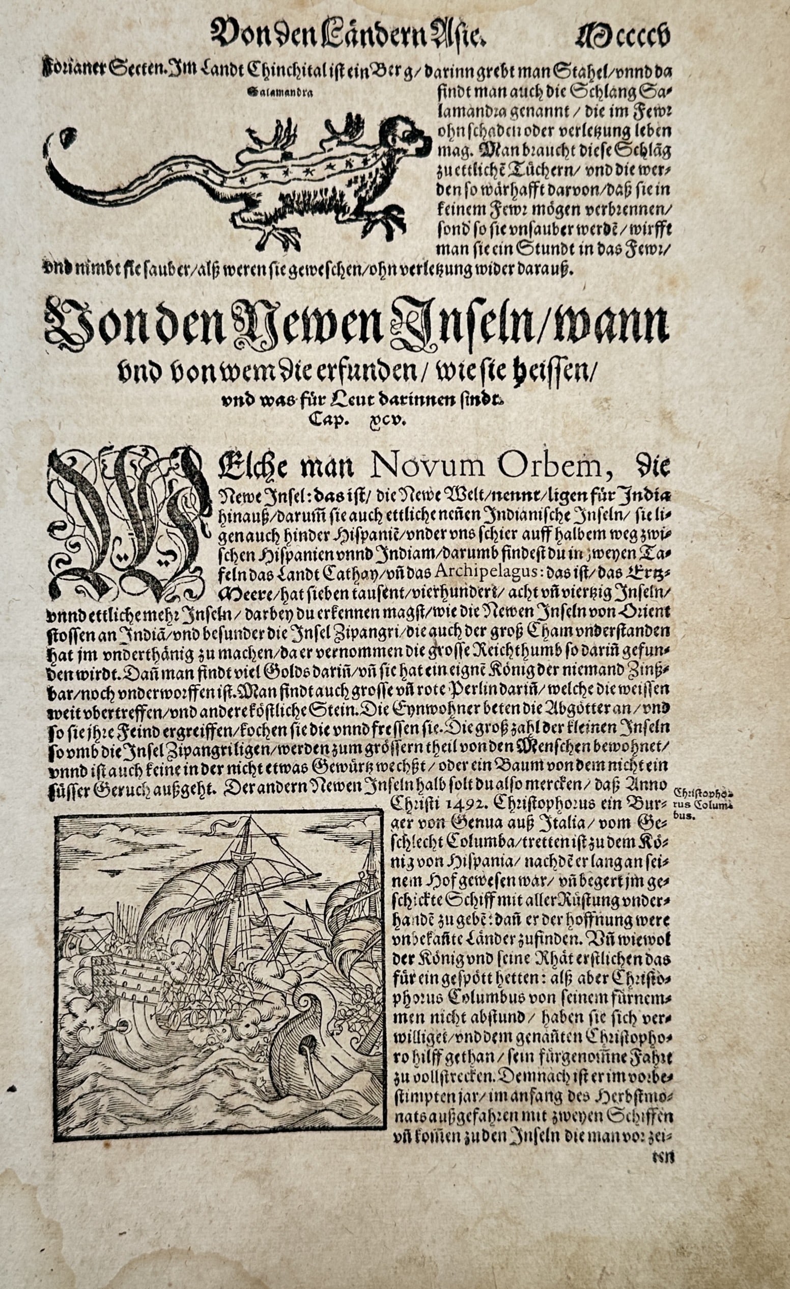 Sebastian Münster (1488–1552) – The New Islands – Woodcut (1550): "Von den Newen Inseln". This woodcut page features two distinct illustrations: a mythical salamander in the upper section and a scene of ships at sea in the lower portion, accompanied by dense German 