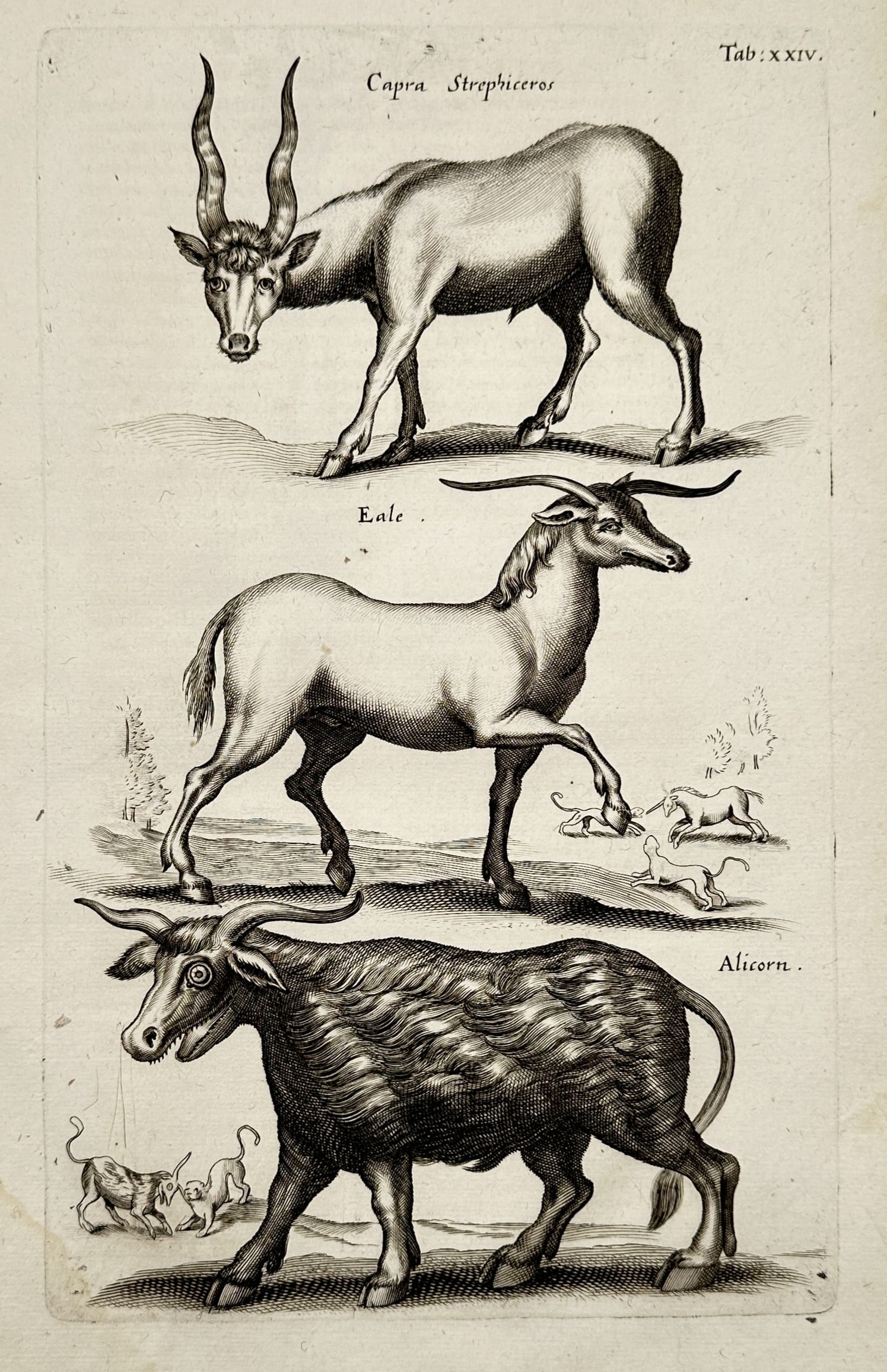 Joannes Jonstonus (1603–1675) – Antelopes and Mythical Creatures – Engraving (1650) (1 of 2)