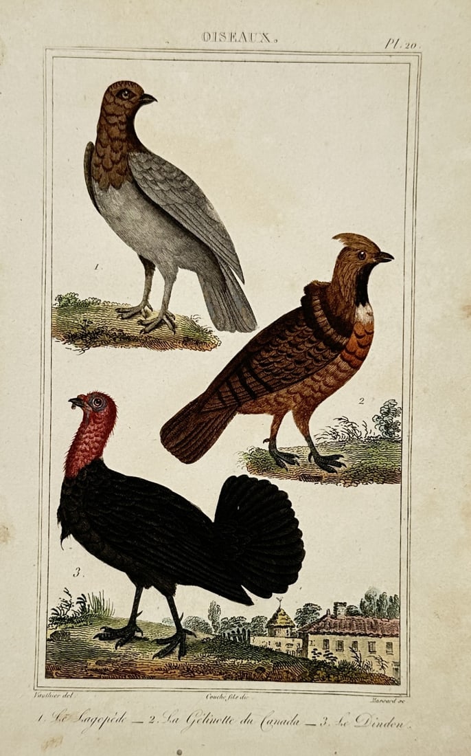 Georges-Louis Leclerc, Comte de Buffon – View of a Ruffed Grouse and Wild Turkey (1 of 2)
